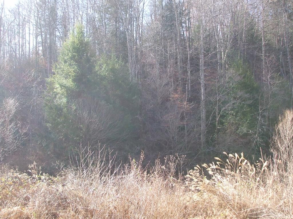 42 acres in Magoffin County, Kentucky