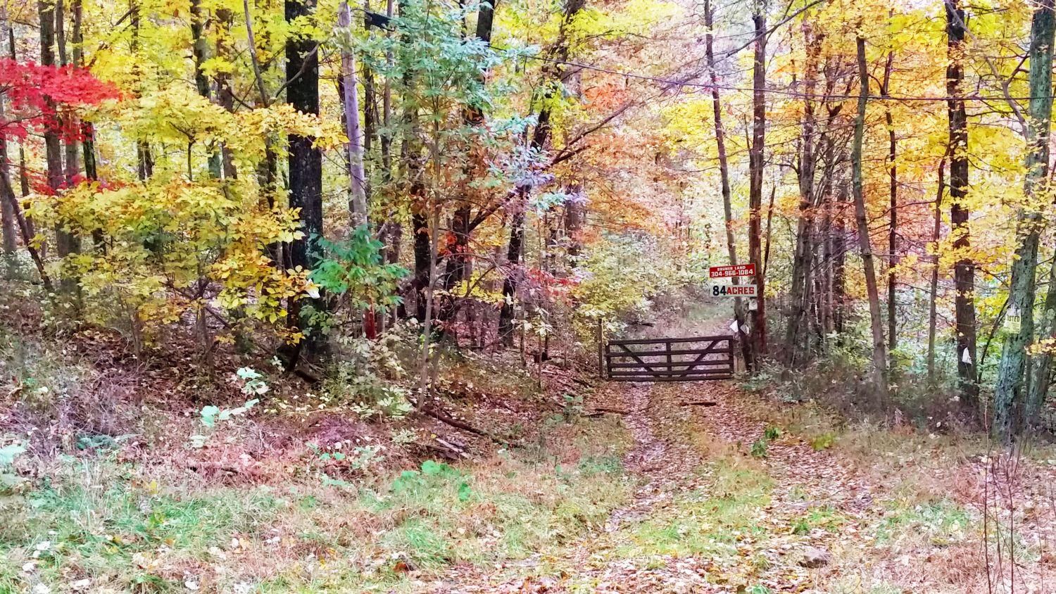 84 acres in Barbour County, West Virginia