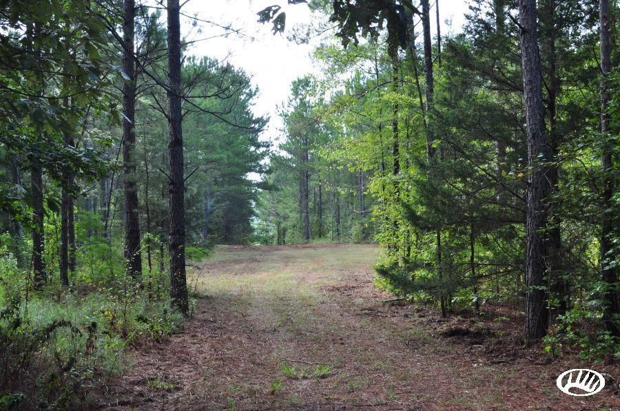 35.5 acres in Benton County, Mississippi