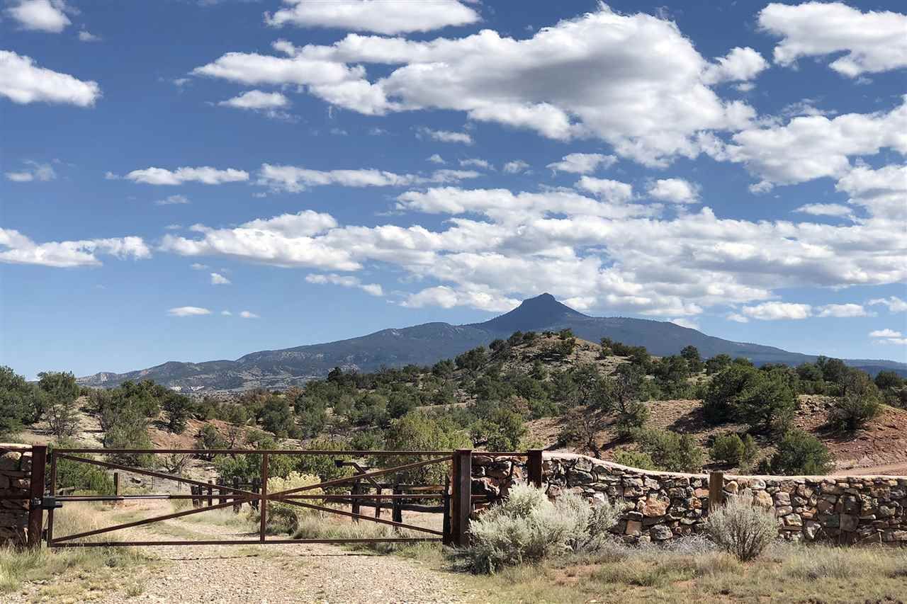 501 Acres In Rio Arriba County New Mexico