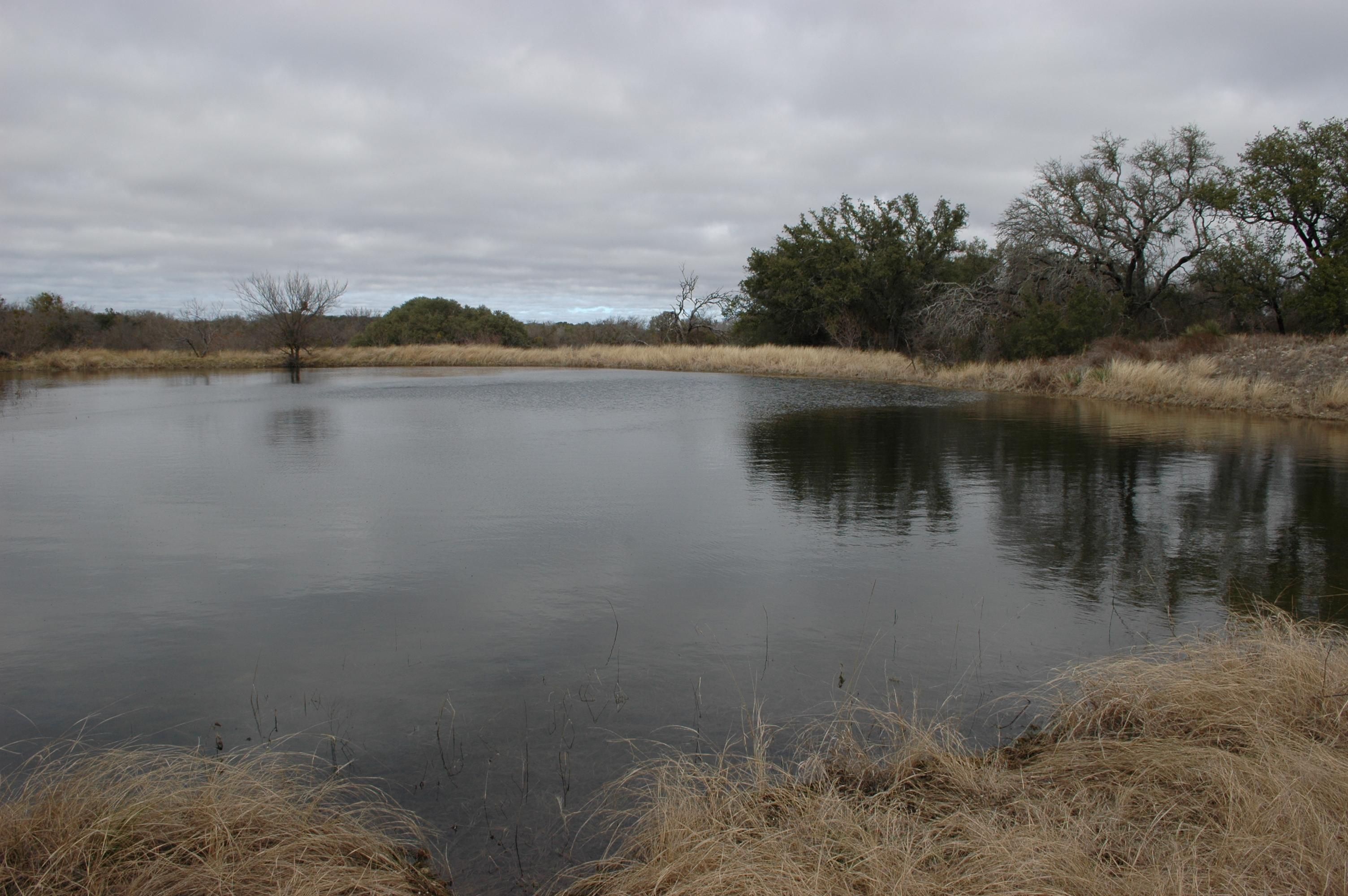 250 acres in Mills County, Texas