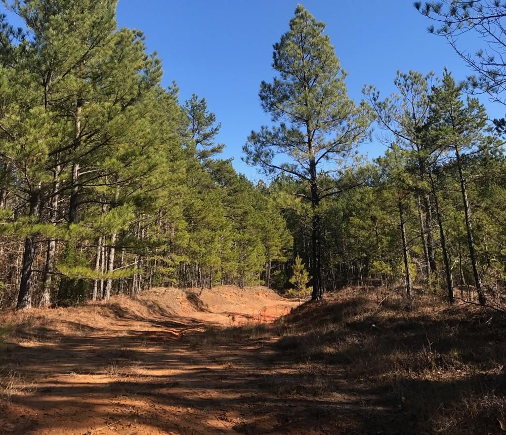 62.20 acres in Benton County, Mississippi