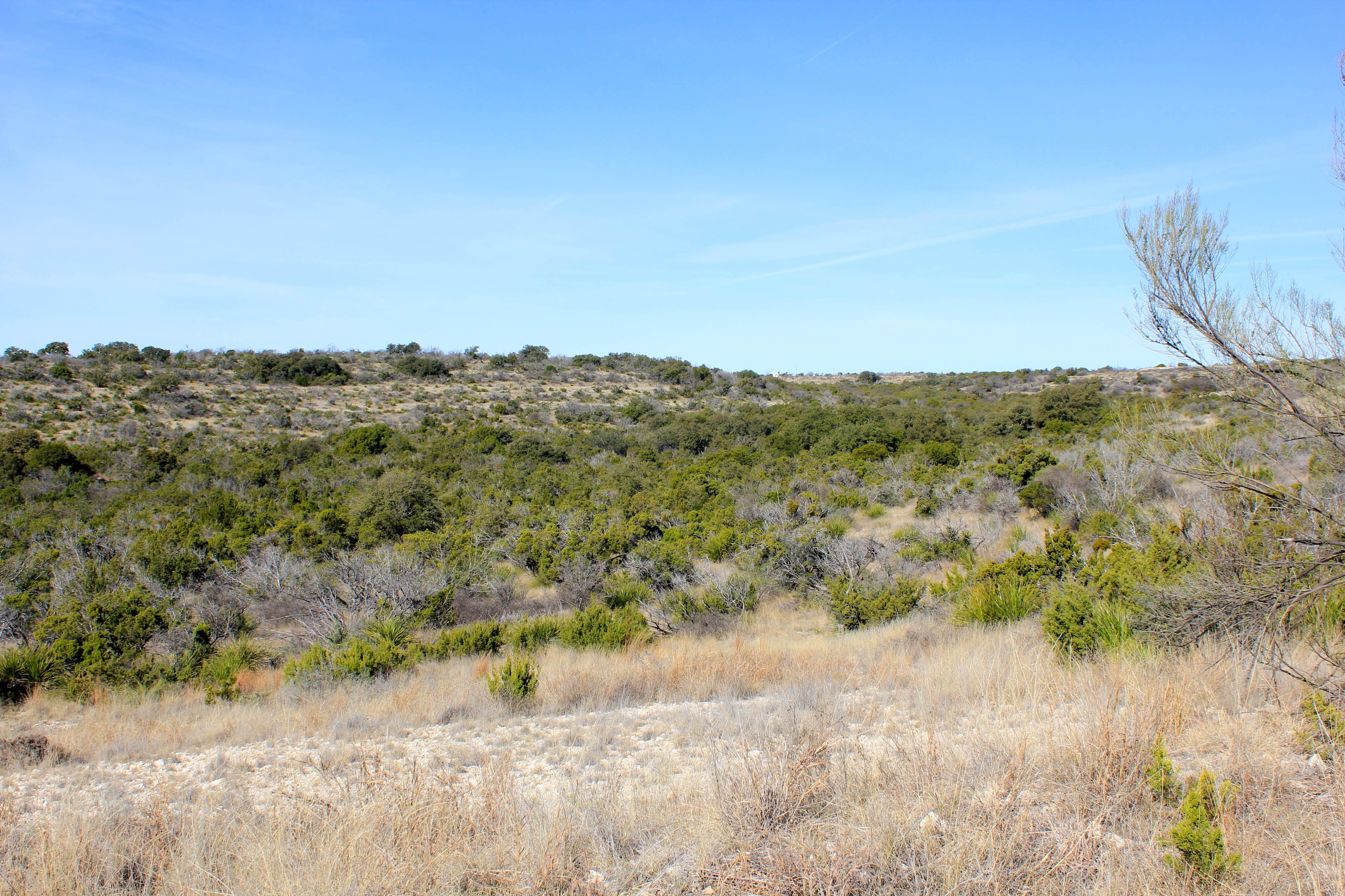 304.2 acres in Crockett County, Texas