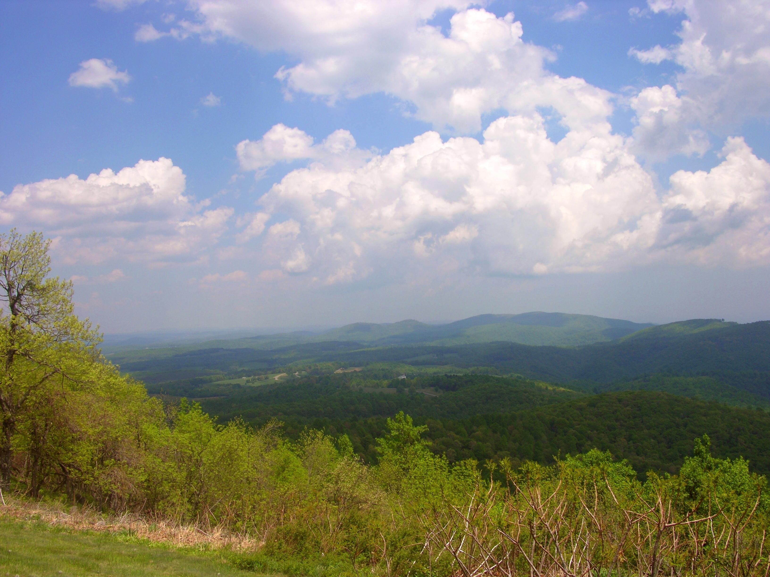 40 acres in Avery County, North Carolina