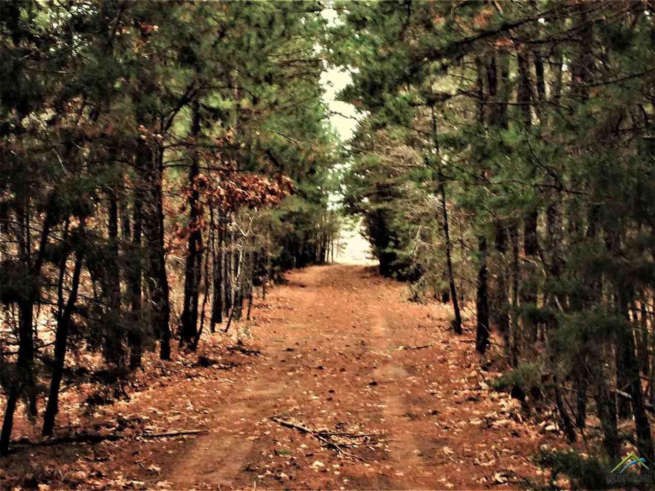 30.33 acres in Cherokee County, Texas