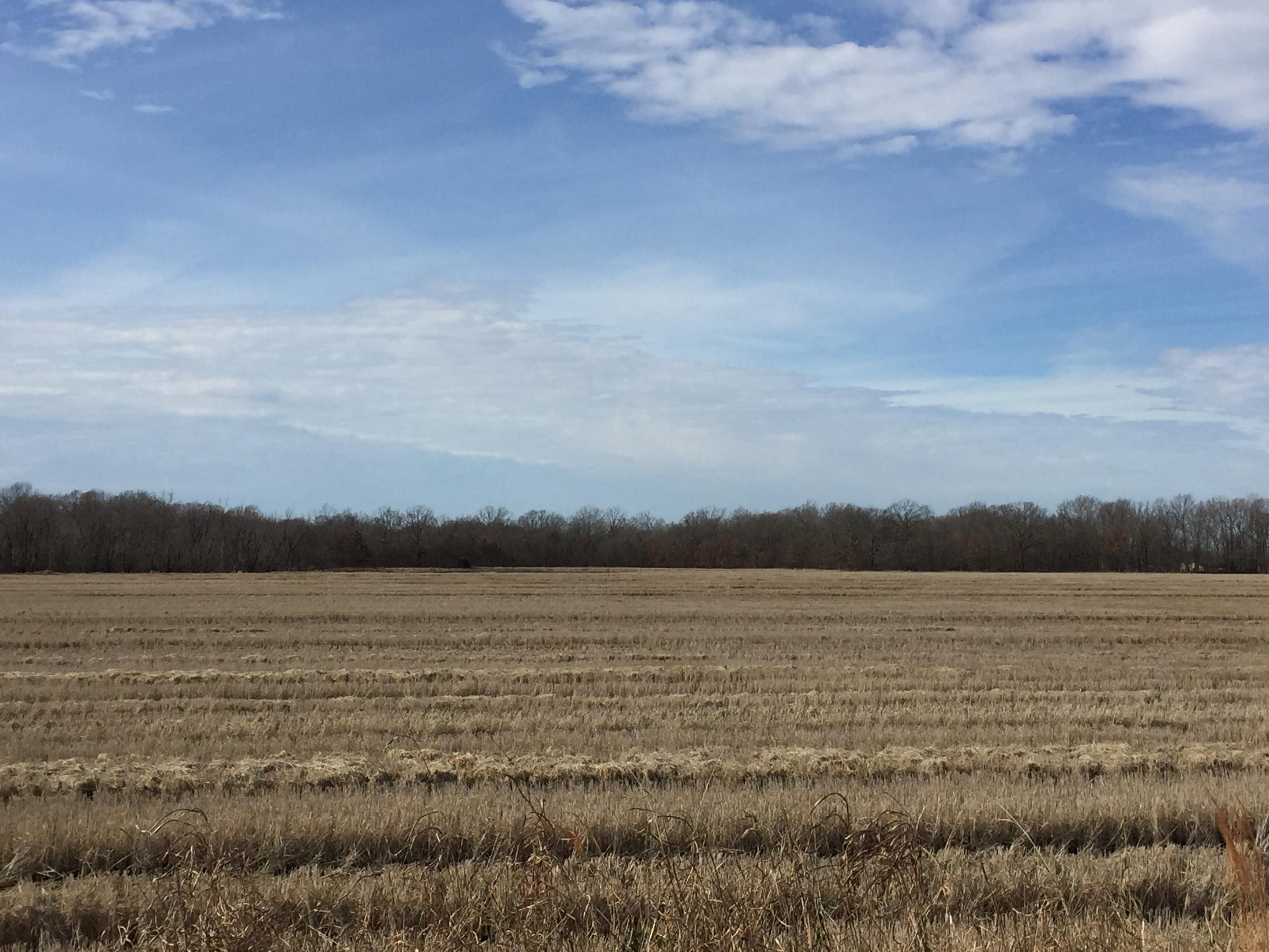 114.31 acres in Lee County, Arkansas