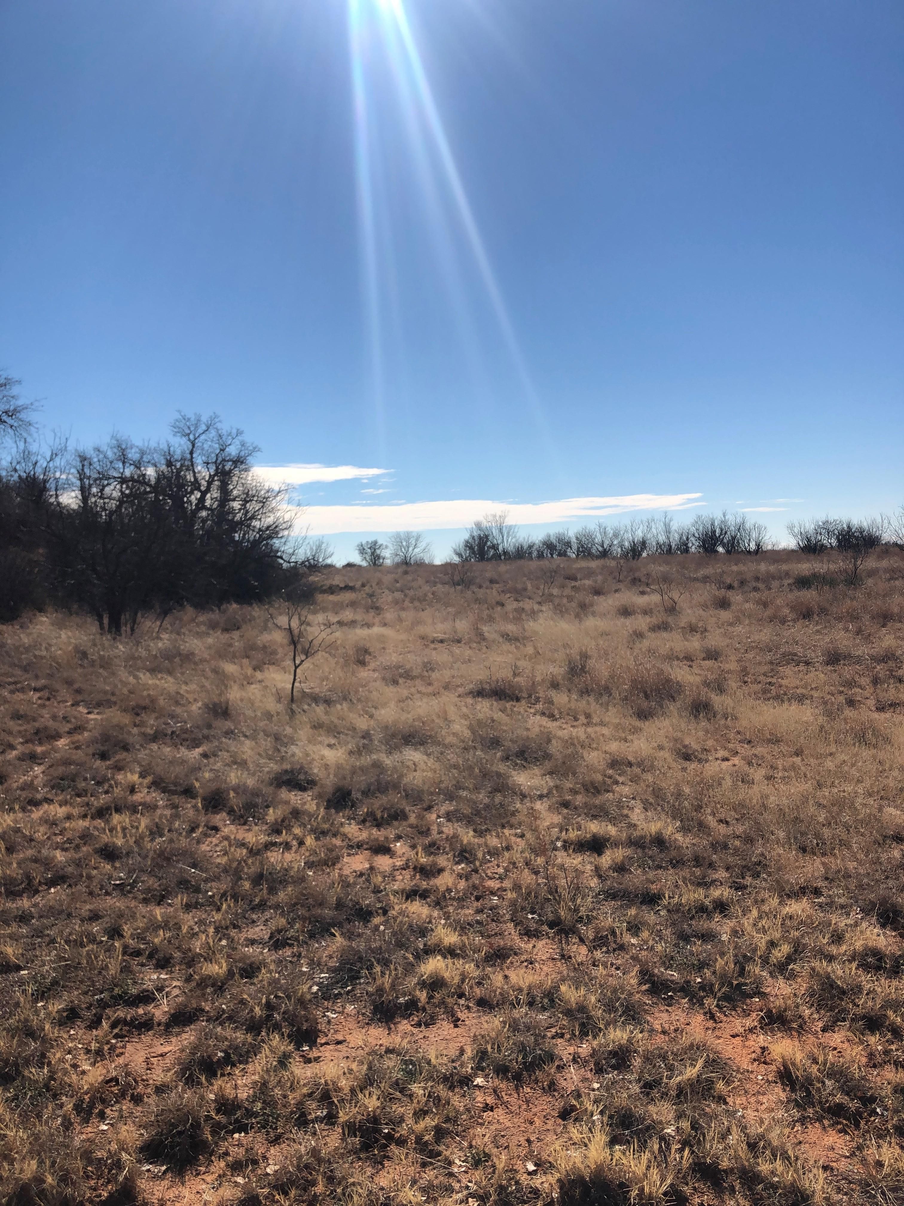 90 acres in Jones County, Texas
