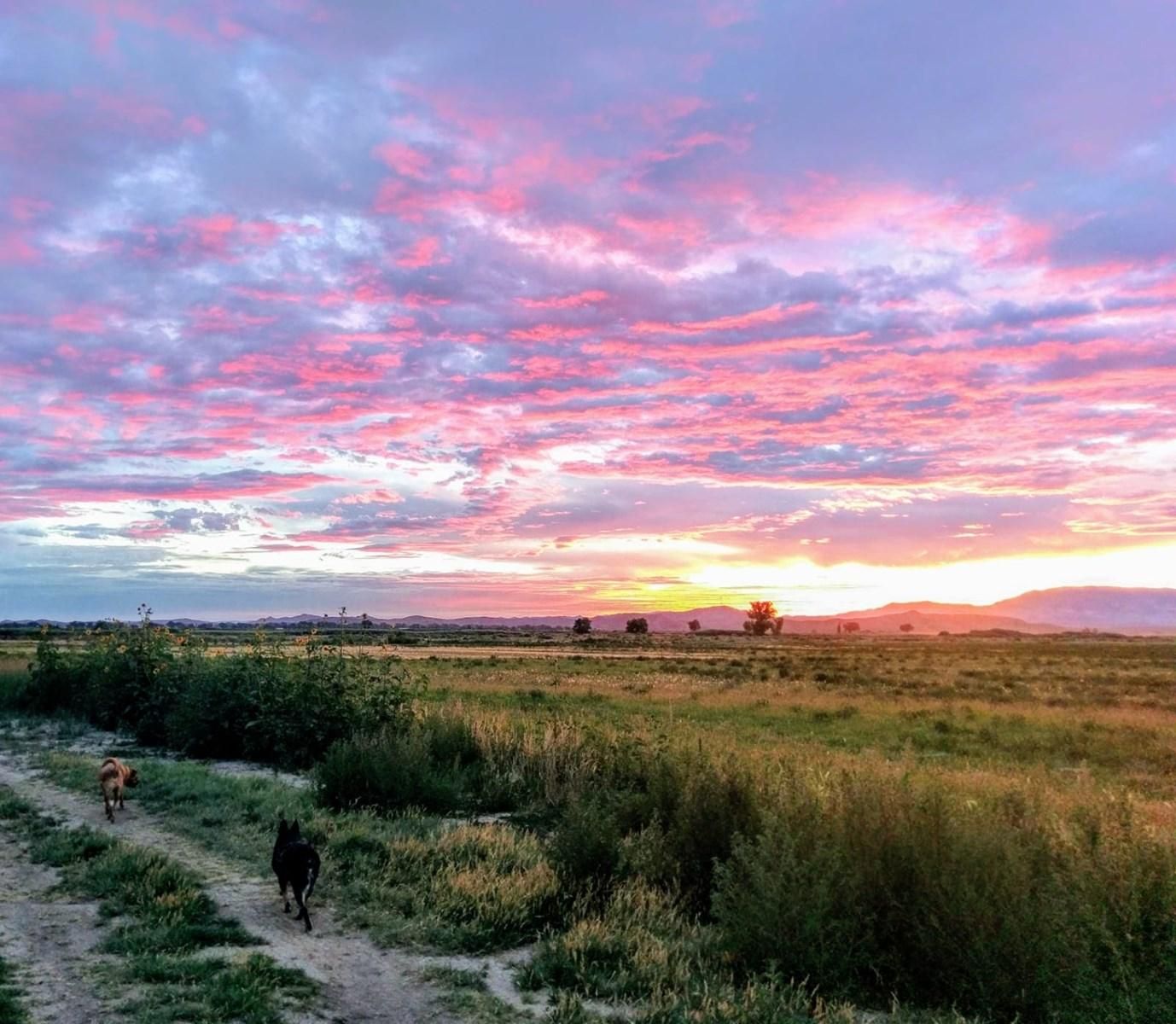 40 acres in Lyon County, Nevada