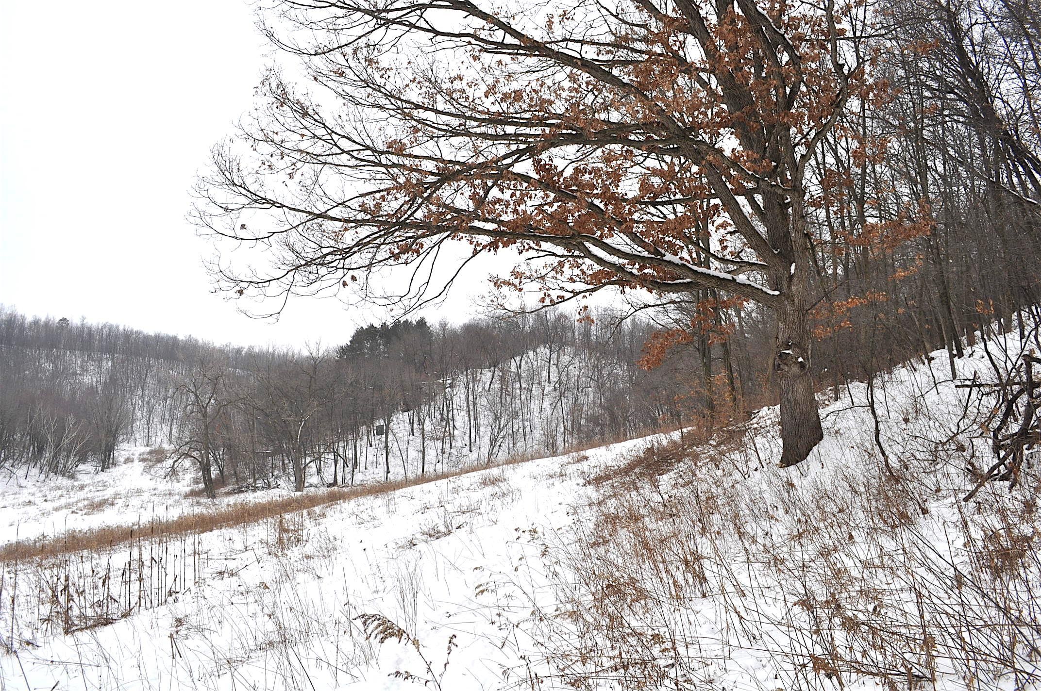 70 acres in Jackson County, Wisconsin