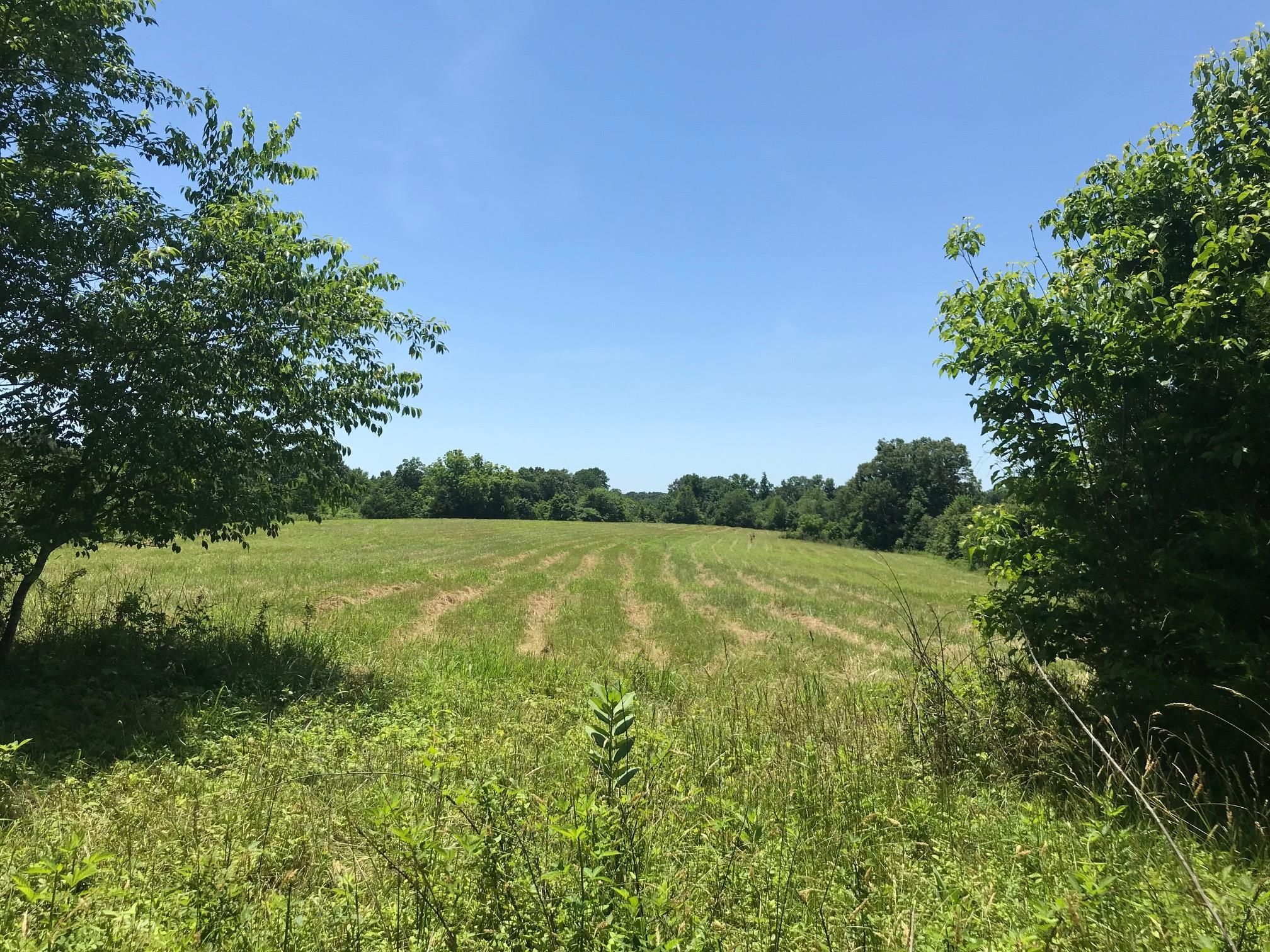 36.44 acres in Lincoln County, Tennessee