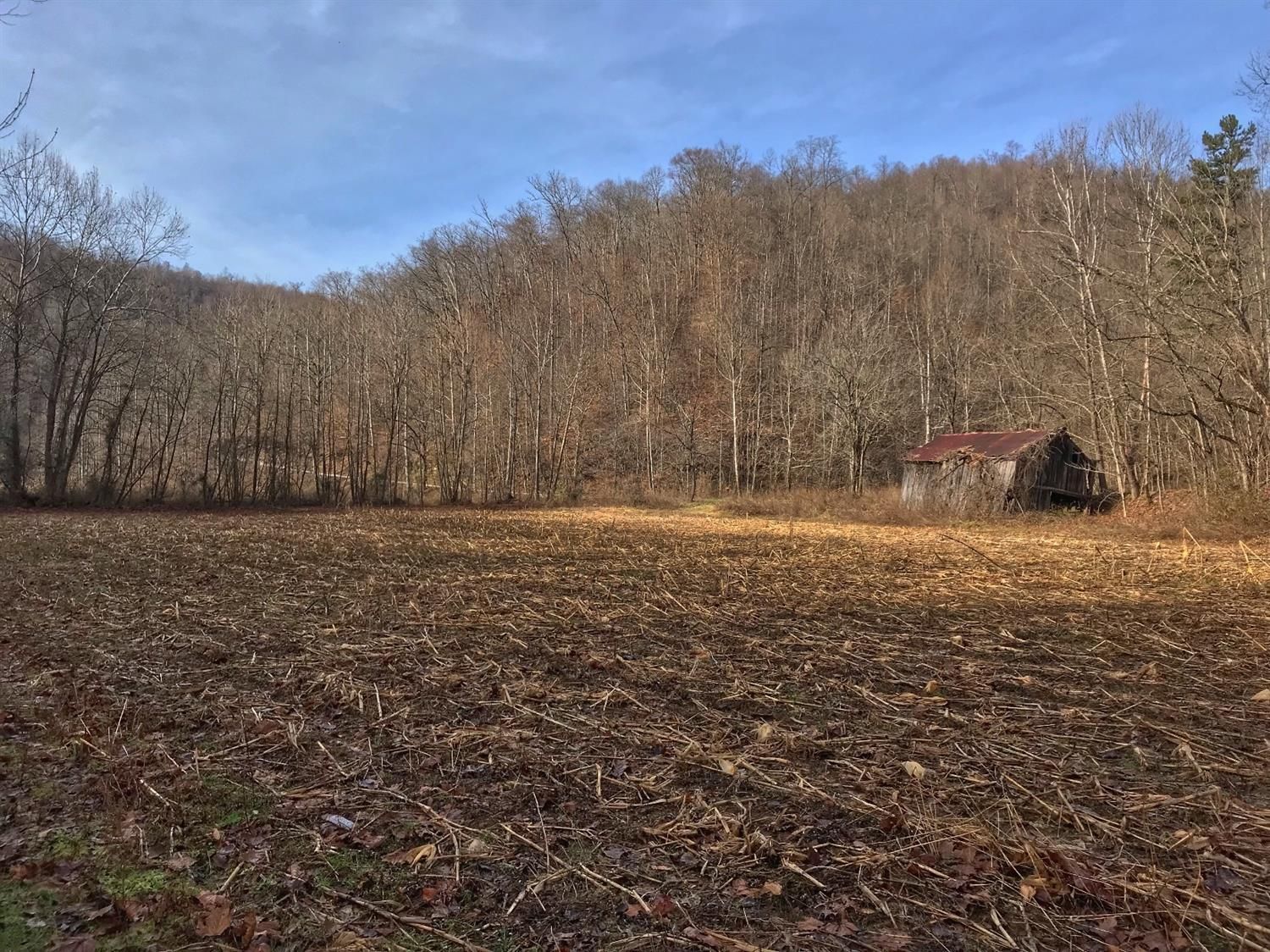 1527.00 acres in Clay County, Kentucky