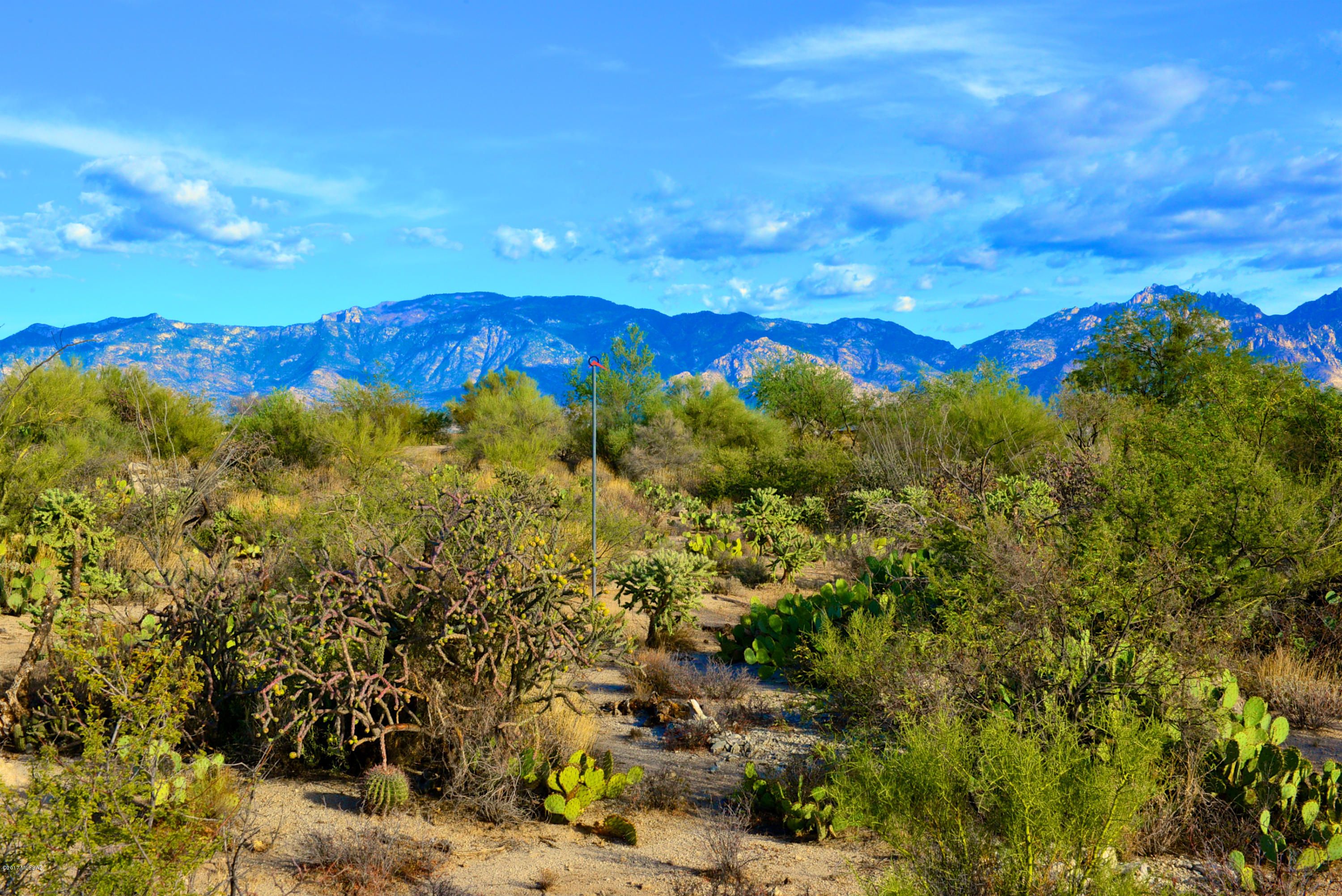 Arizona Public Records Pima County - zzhy1rd
