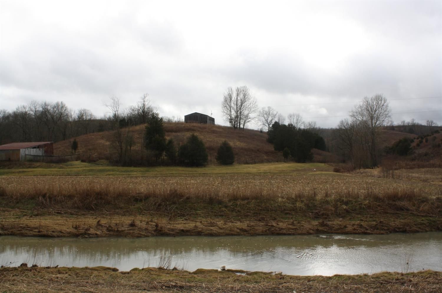 138 acres in Nicholas County, Kentucky