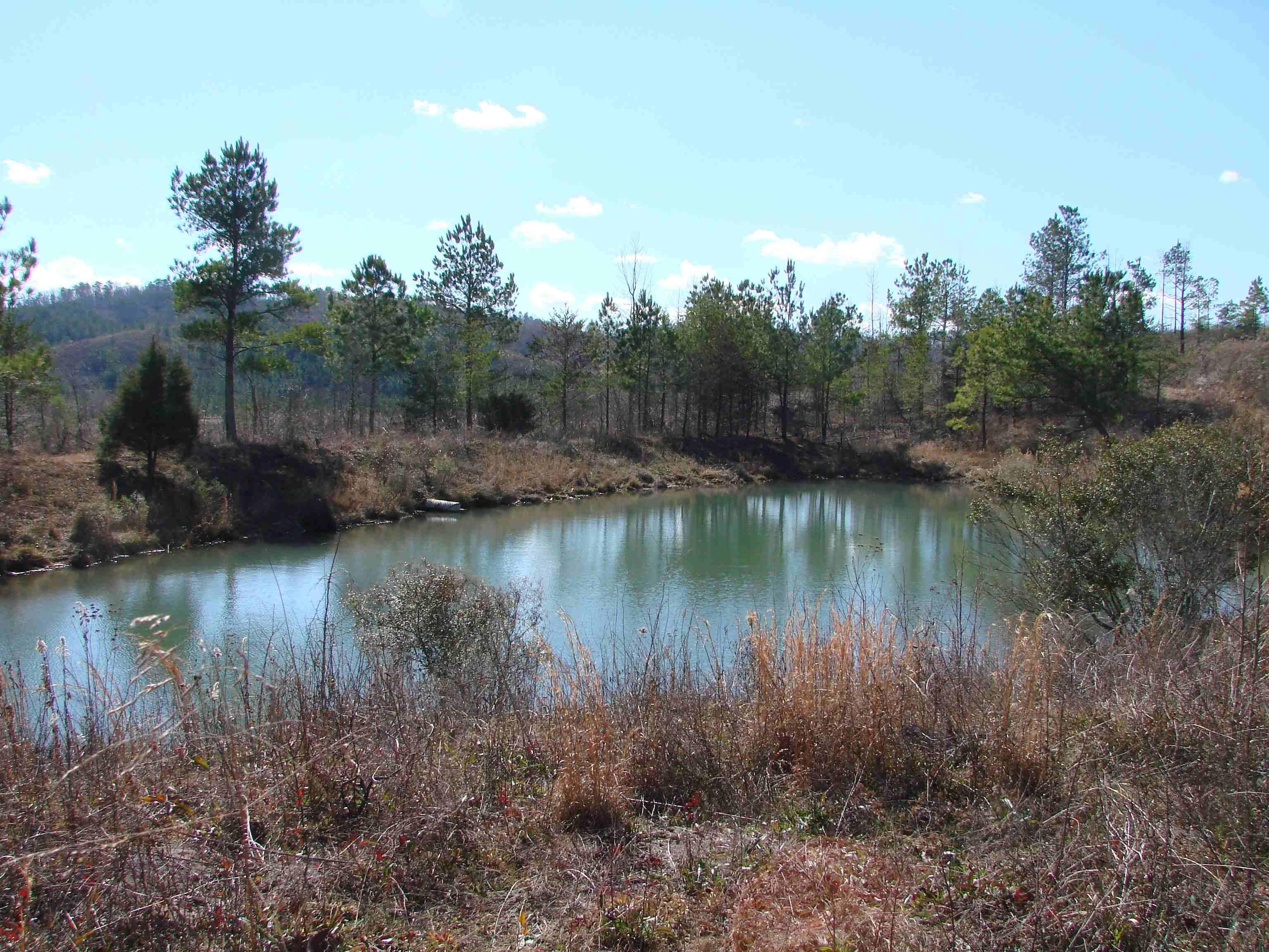 38 acres in Tuscaloosa County, Alabama