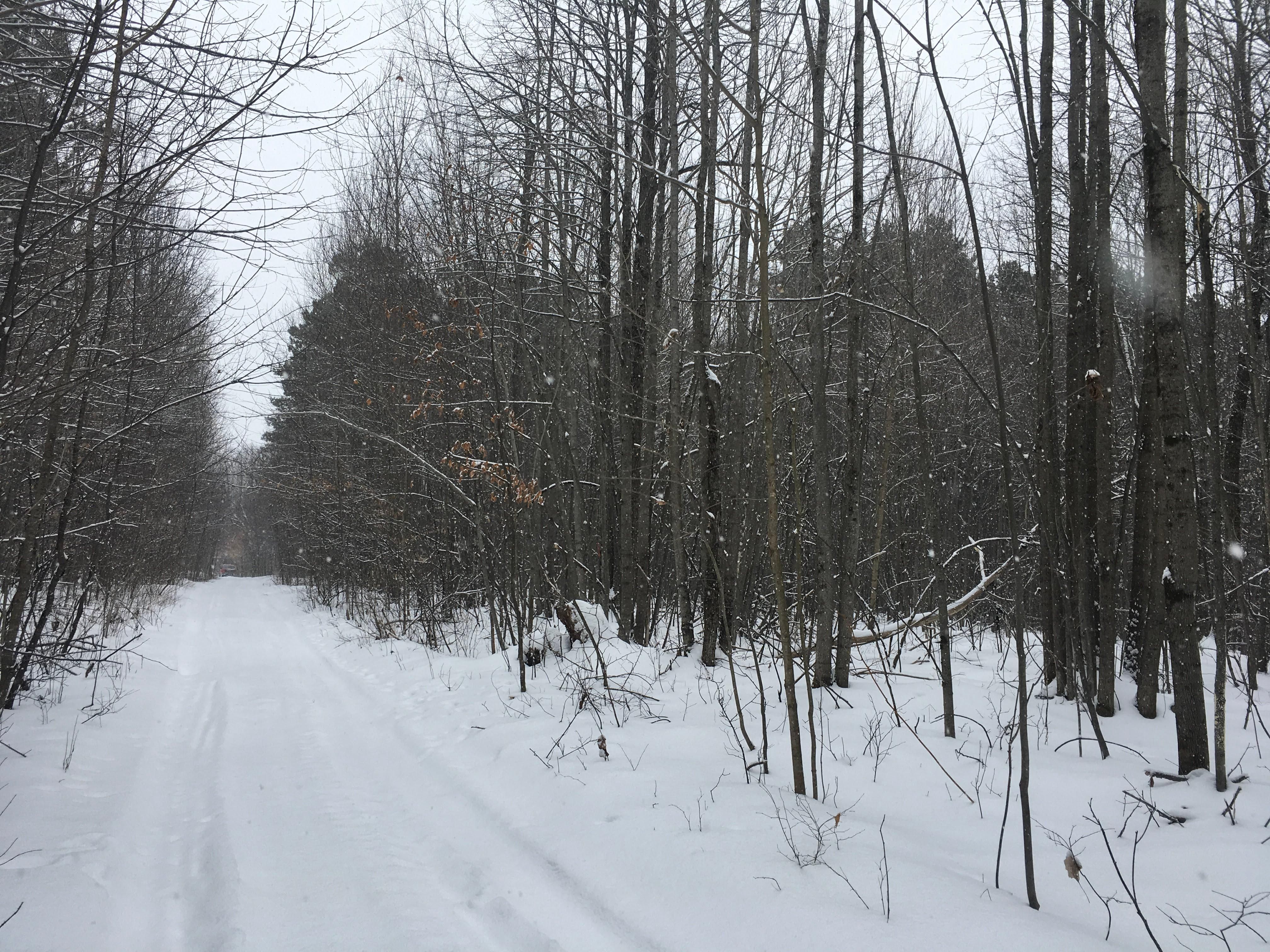 6.9 acres in Saint Lawrence County, New York