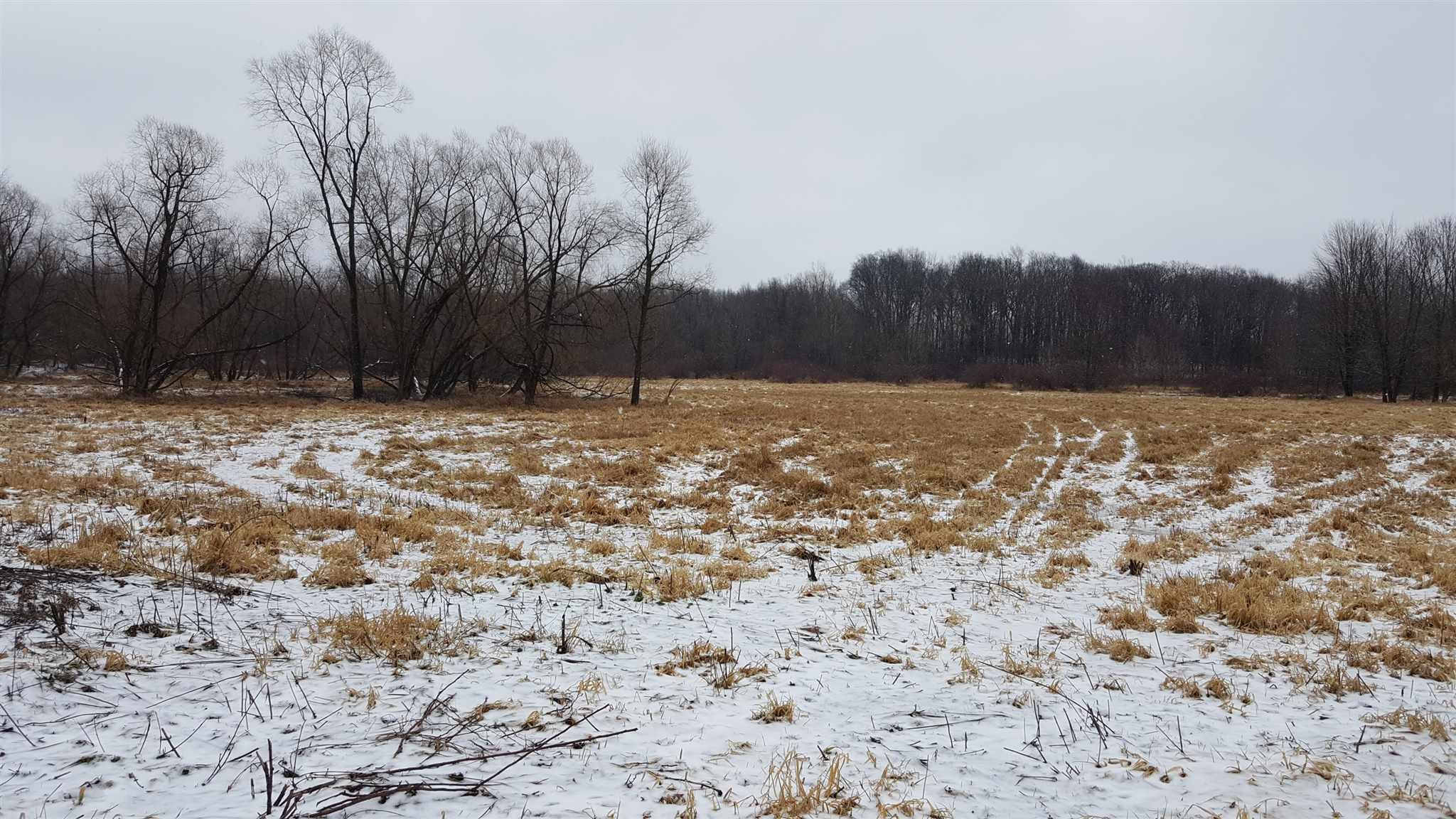 42.38 acres in Kosciusko County, Indiana