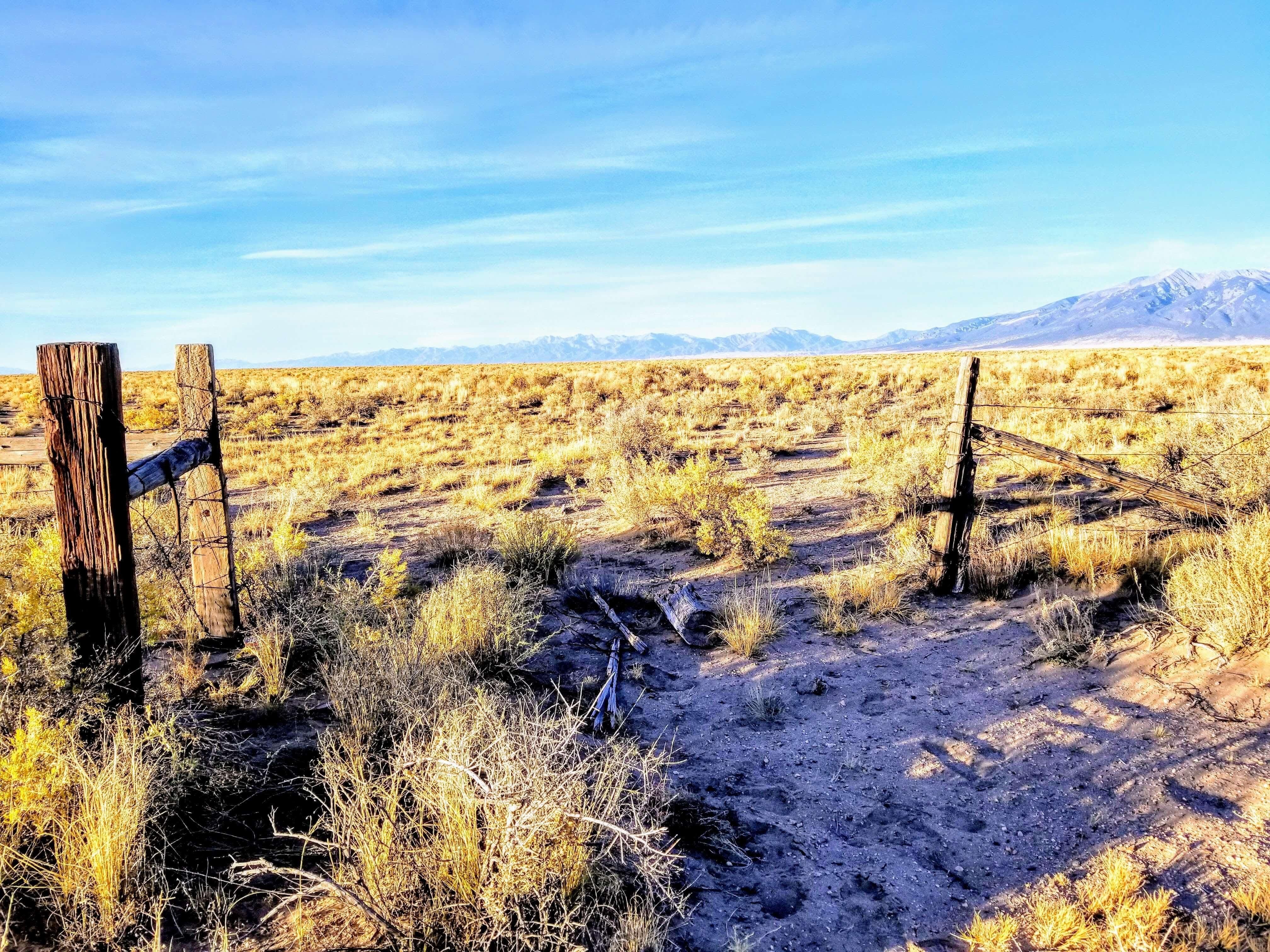 40 acres in Alamosa County, Colorado