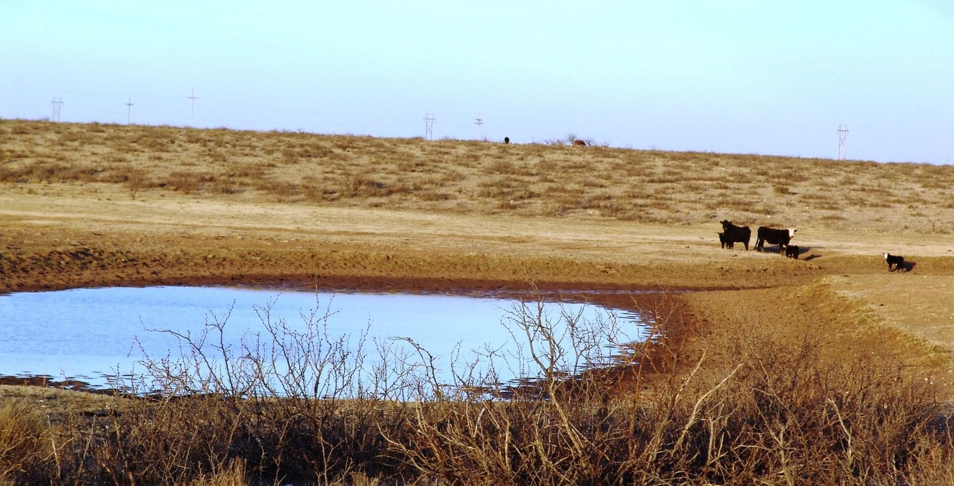 7,410 acres in Eddy County, New Mexico