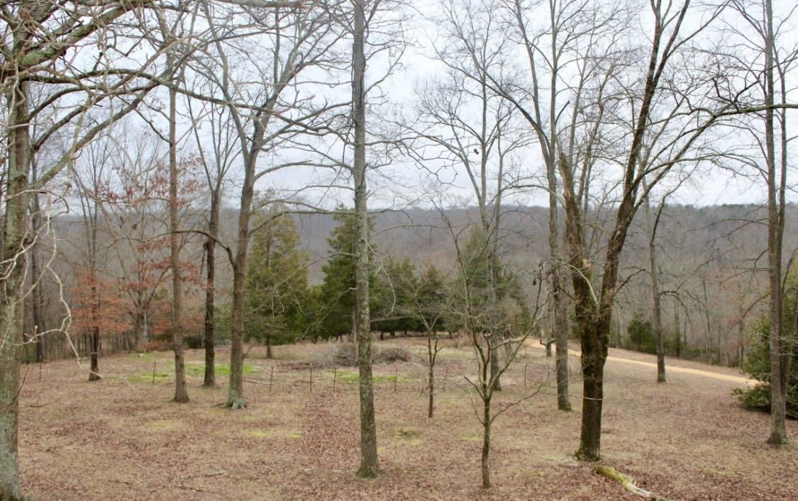 45.93 acres in Lawrence County, Tennessee