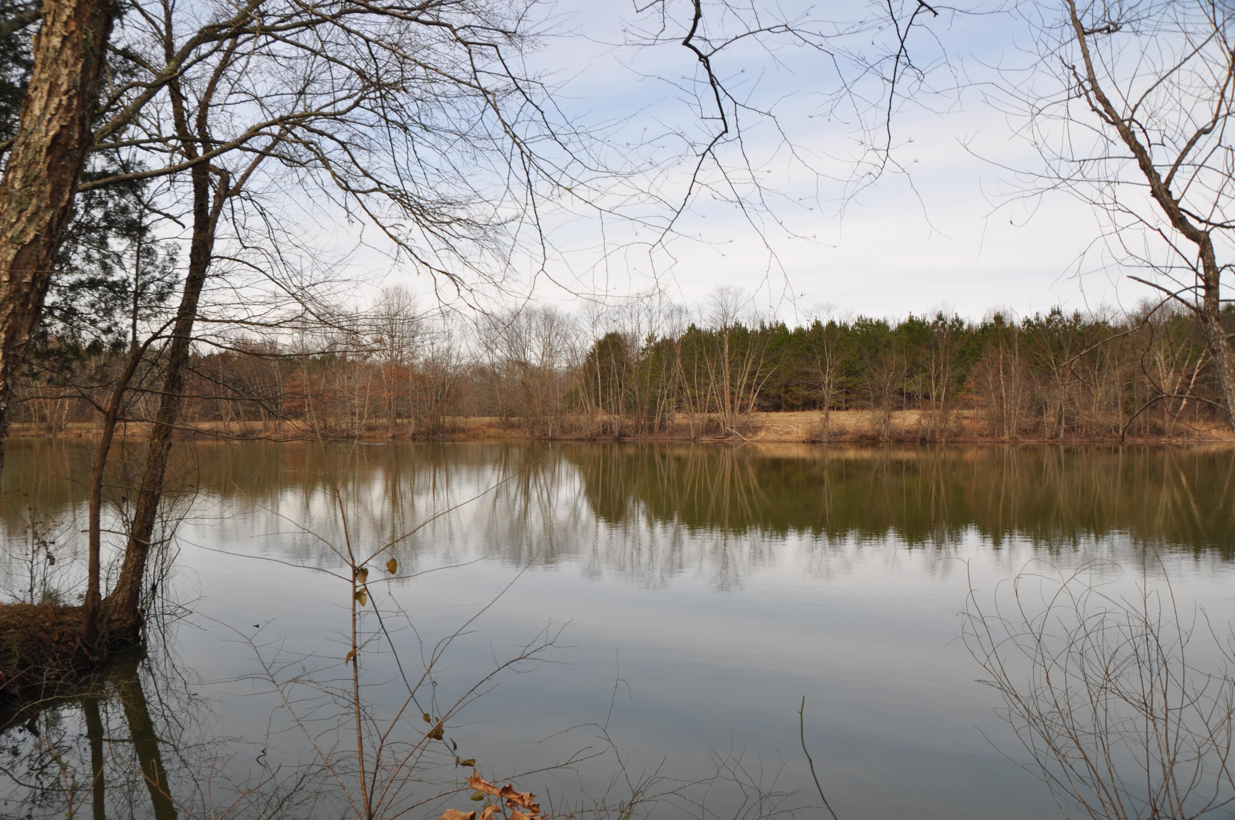 188-acres-in-marshall-county-mississippi