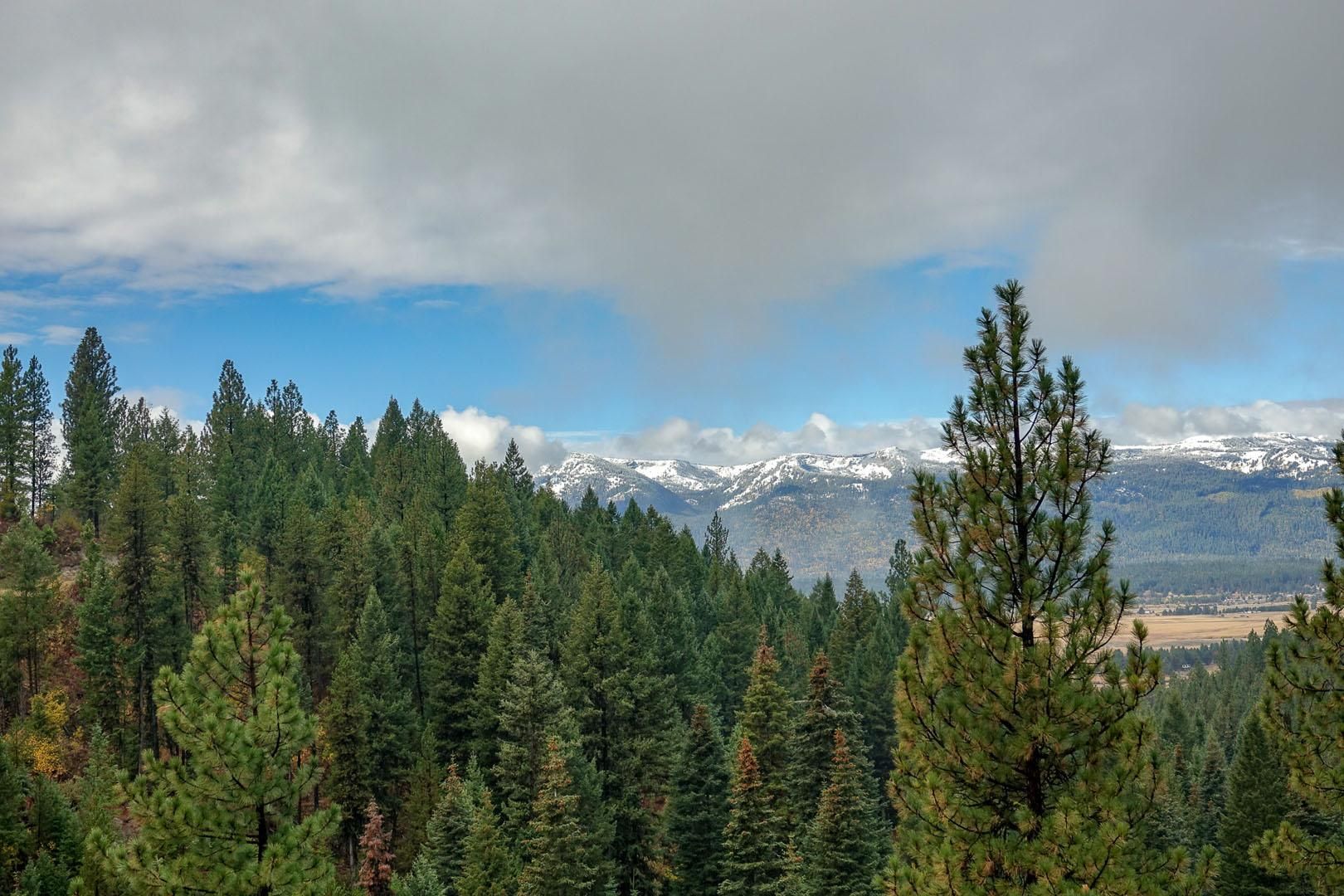 853 acres in Valley County, Idaho