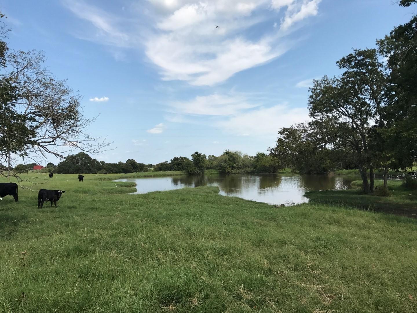 36.76 acres in Milam County, Texas