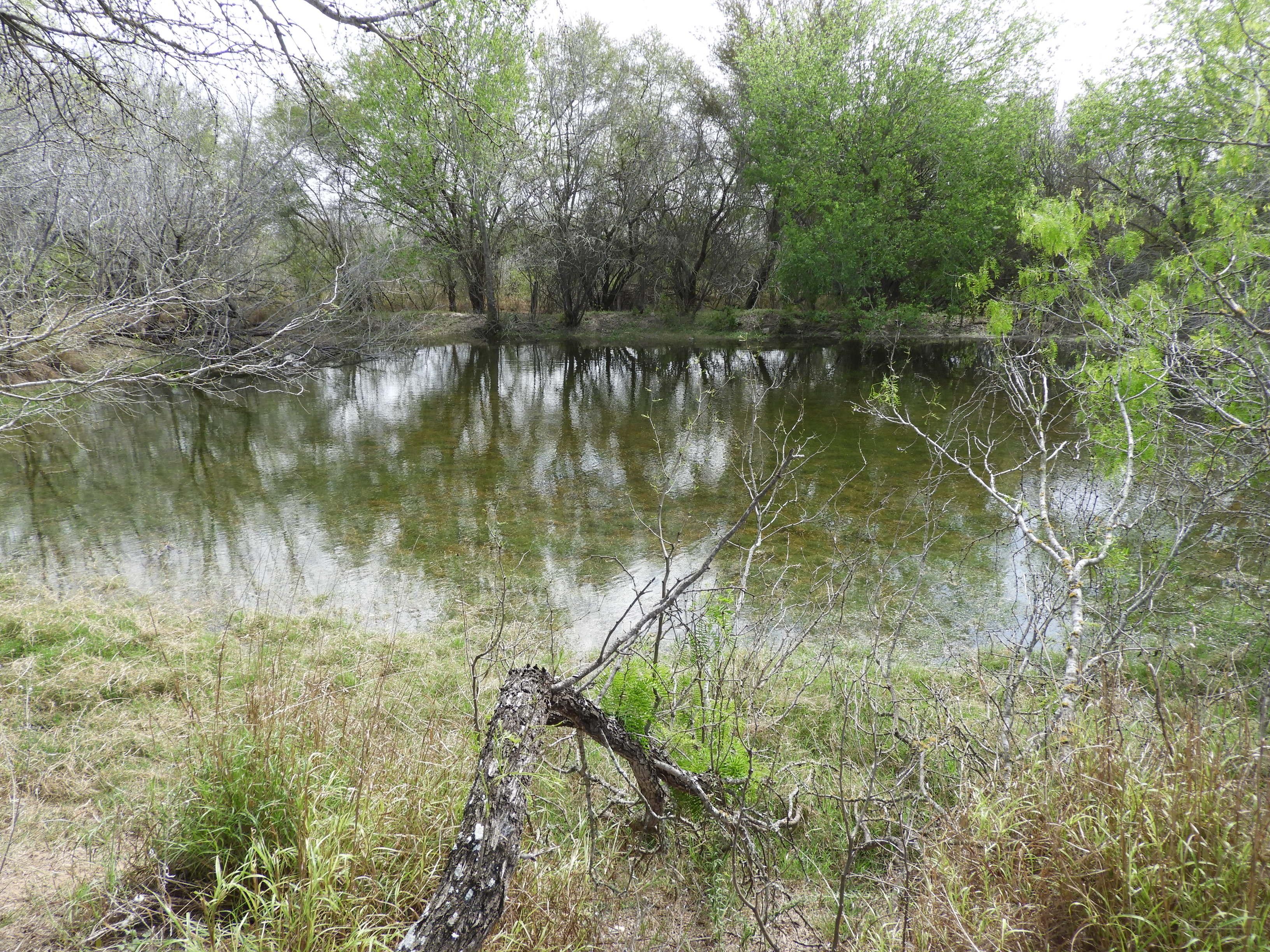 717 acres in Jim Hogg County, Texas