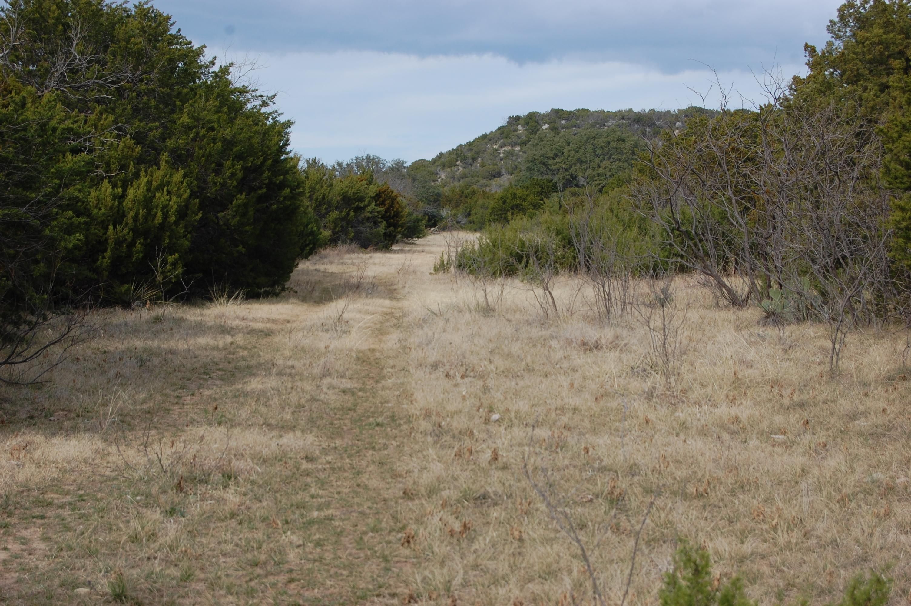 375 acres in Runnels County, Texas