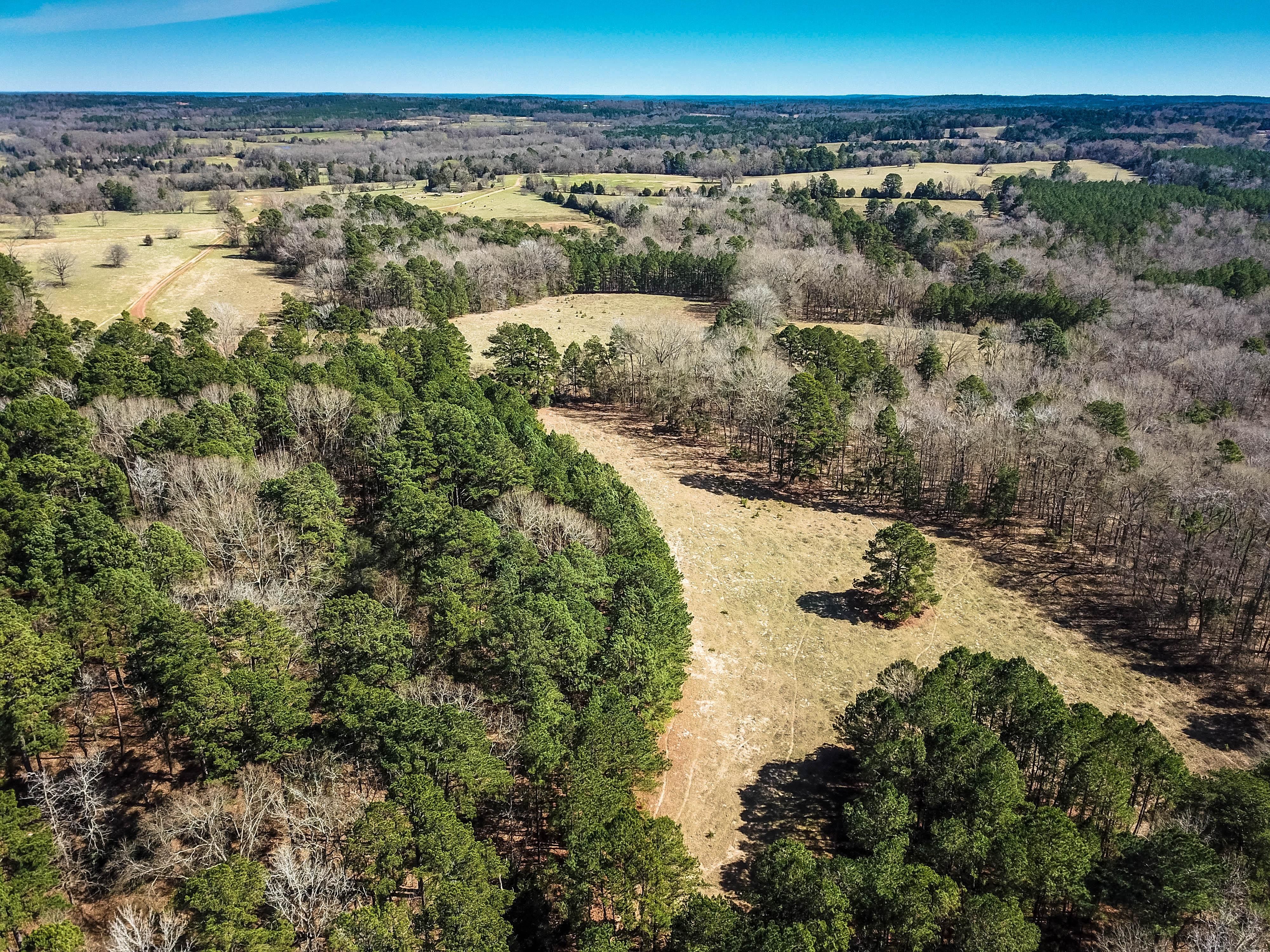 475.00 acres in Rusk County, Texas