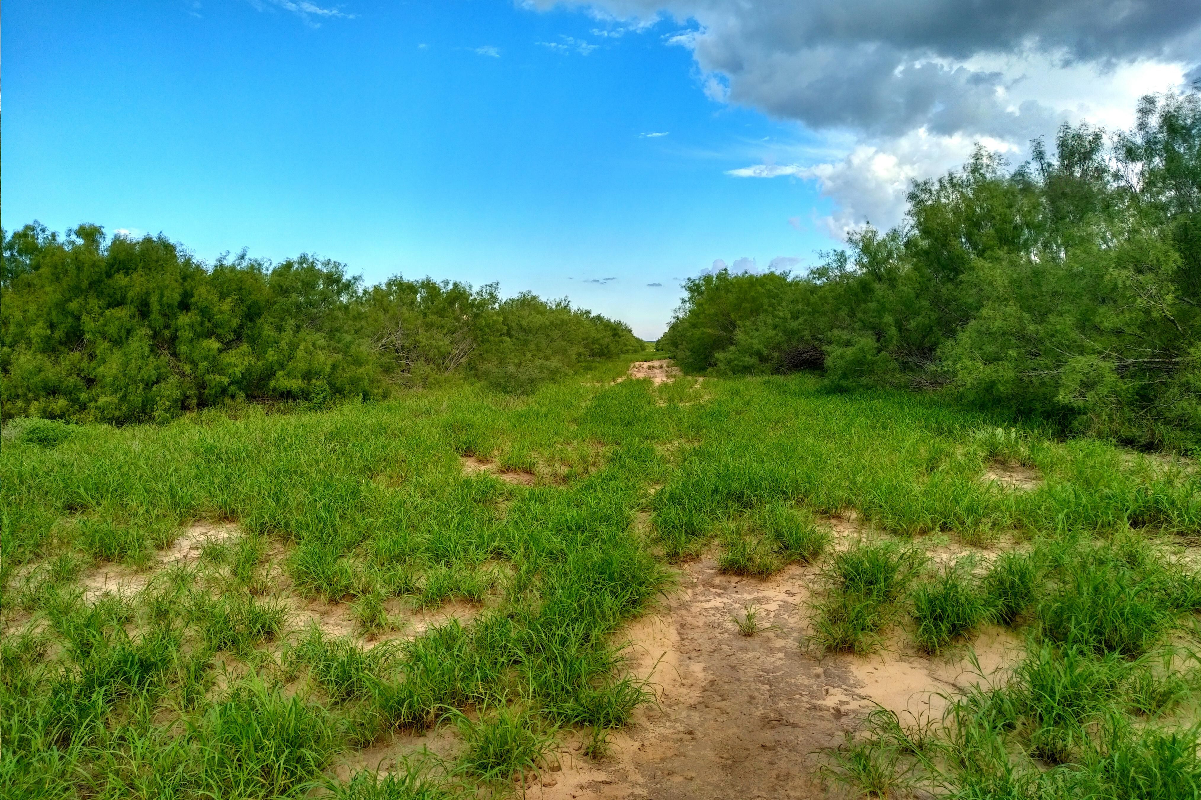 376 acres in b County, Texas