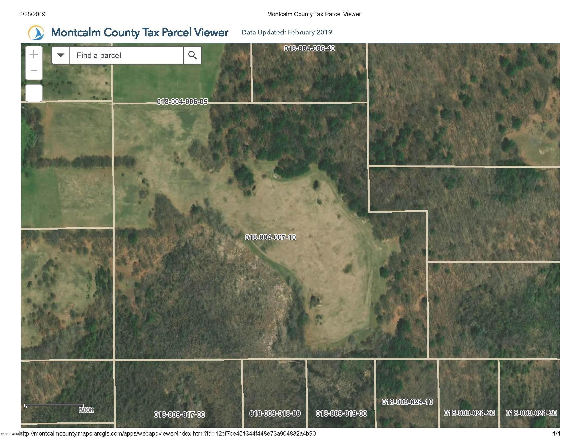 45 acres in Montcalm County, Michigan
