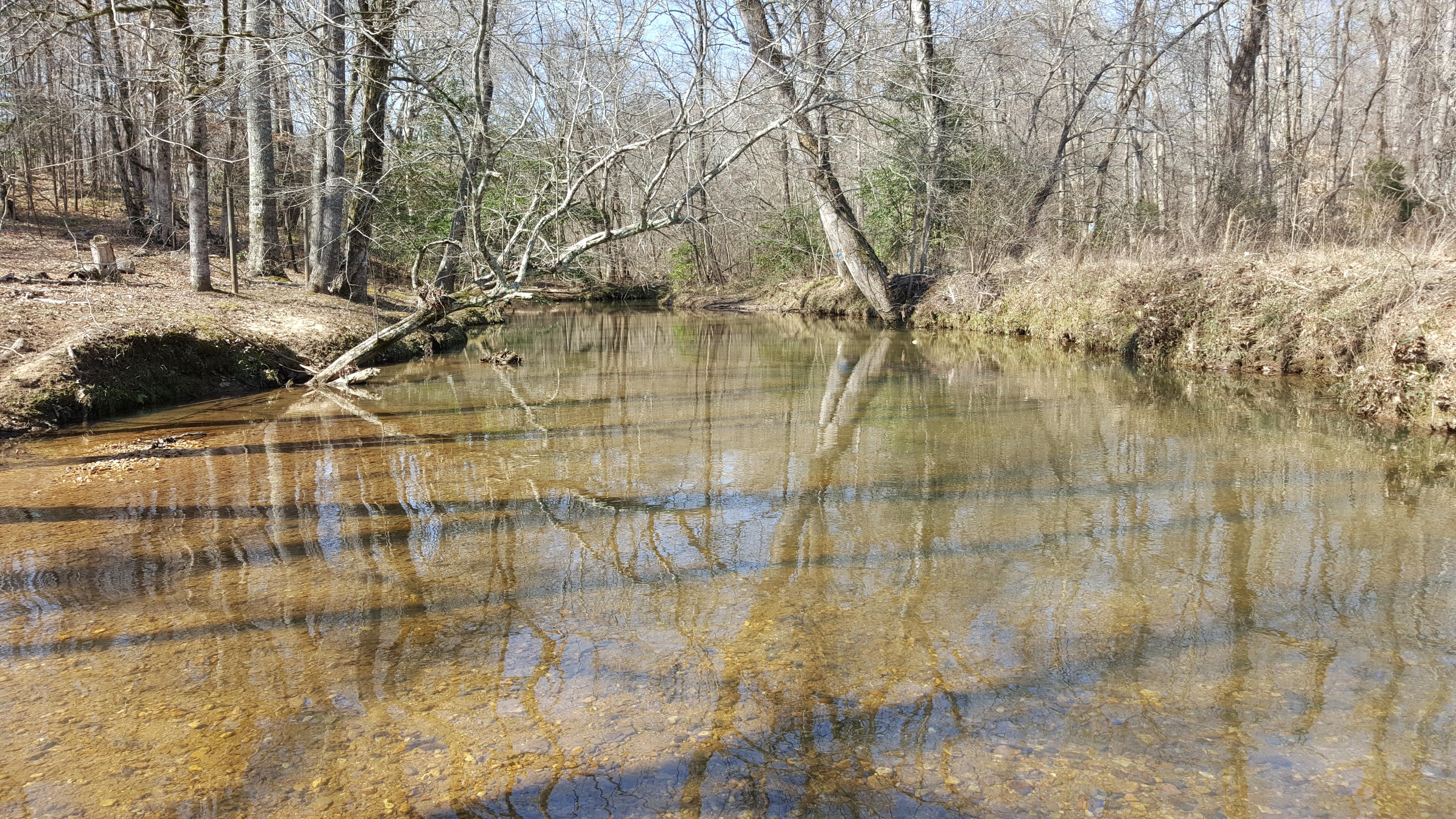 47-acres-in-clay-county-alabama
