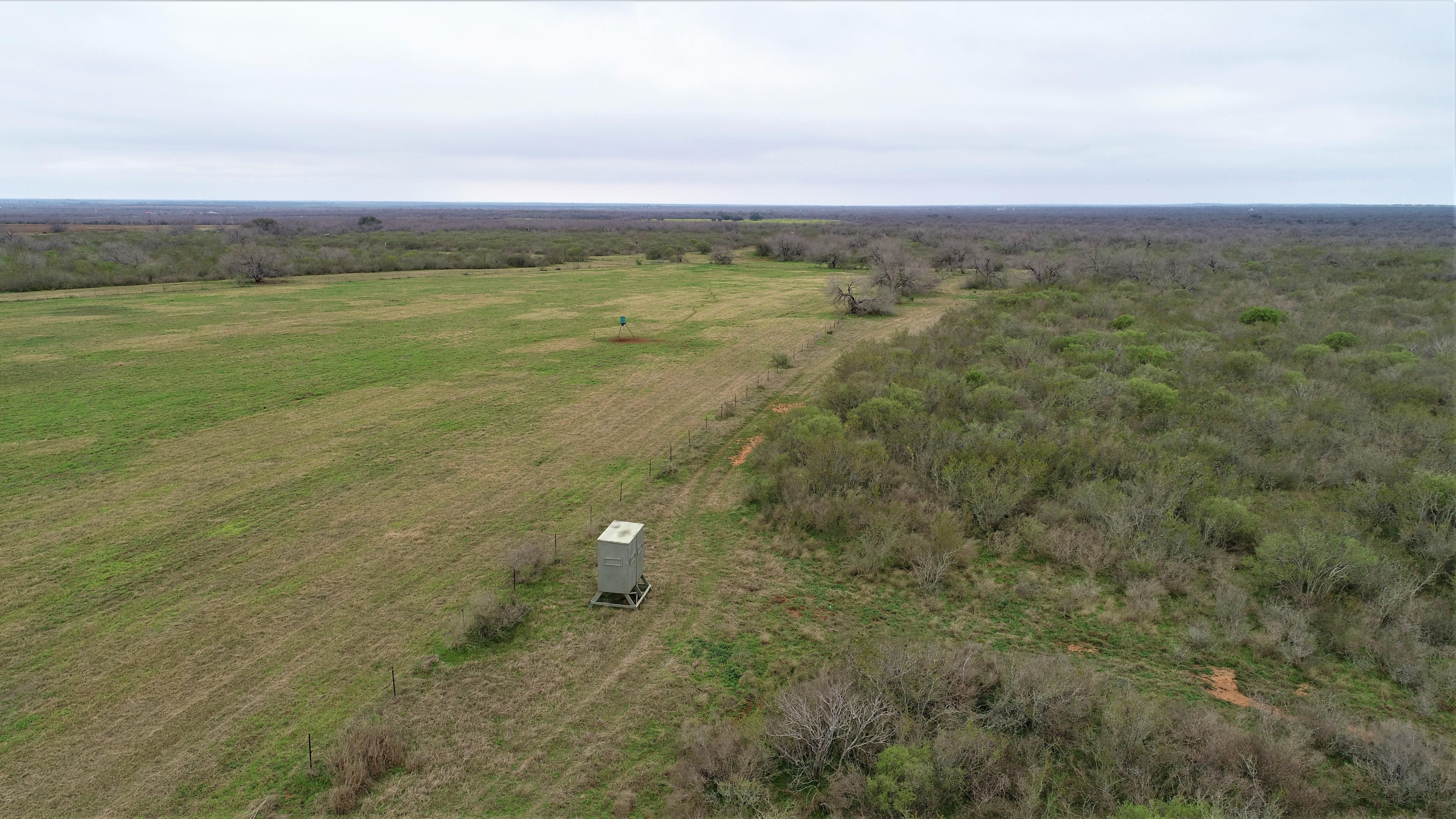 167 acres in Atascosa County, Texas