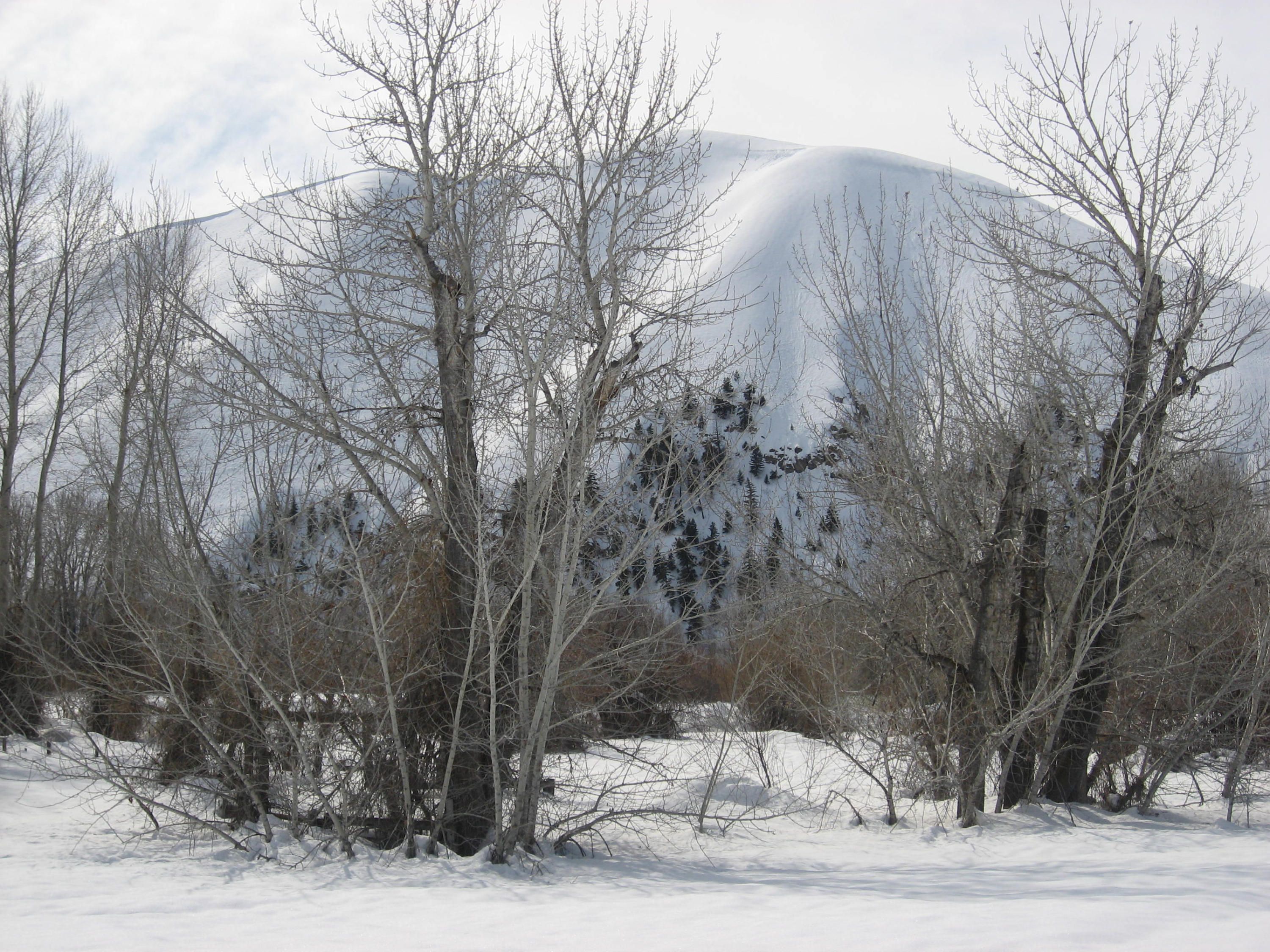 1 acres in Blaine County, Idaho