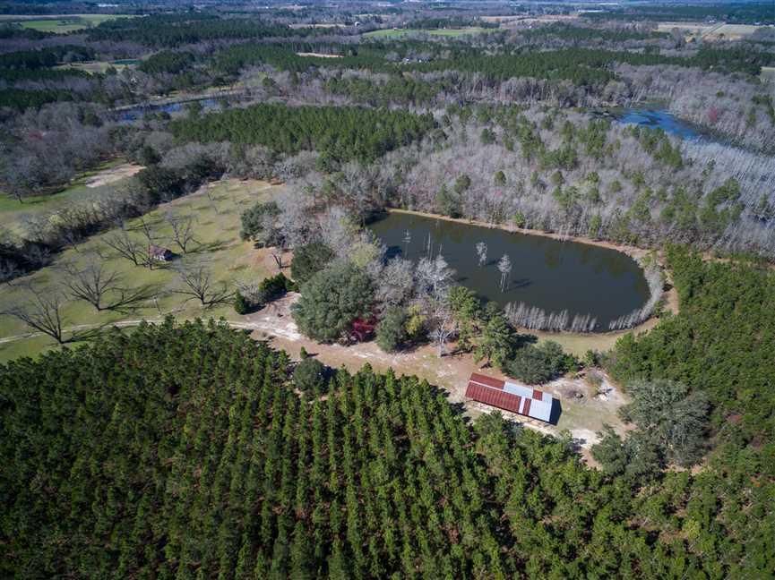71 acres in Tattnall County,