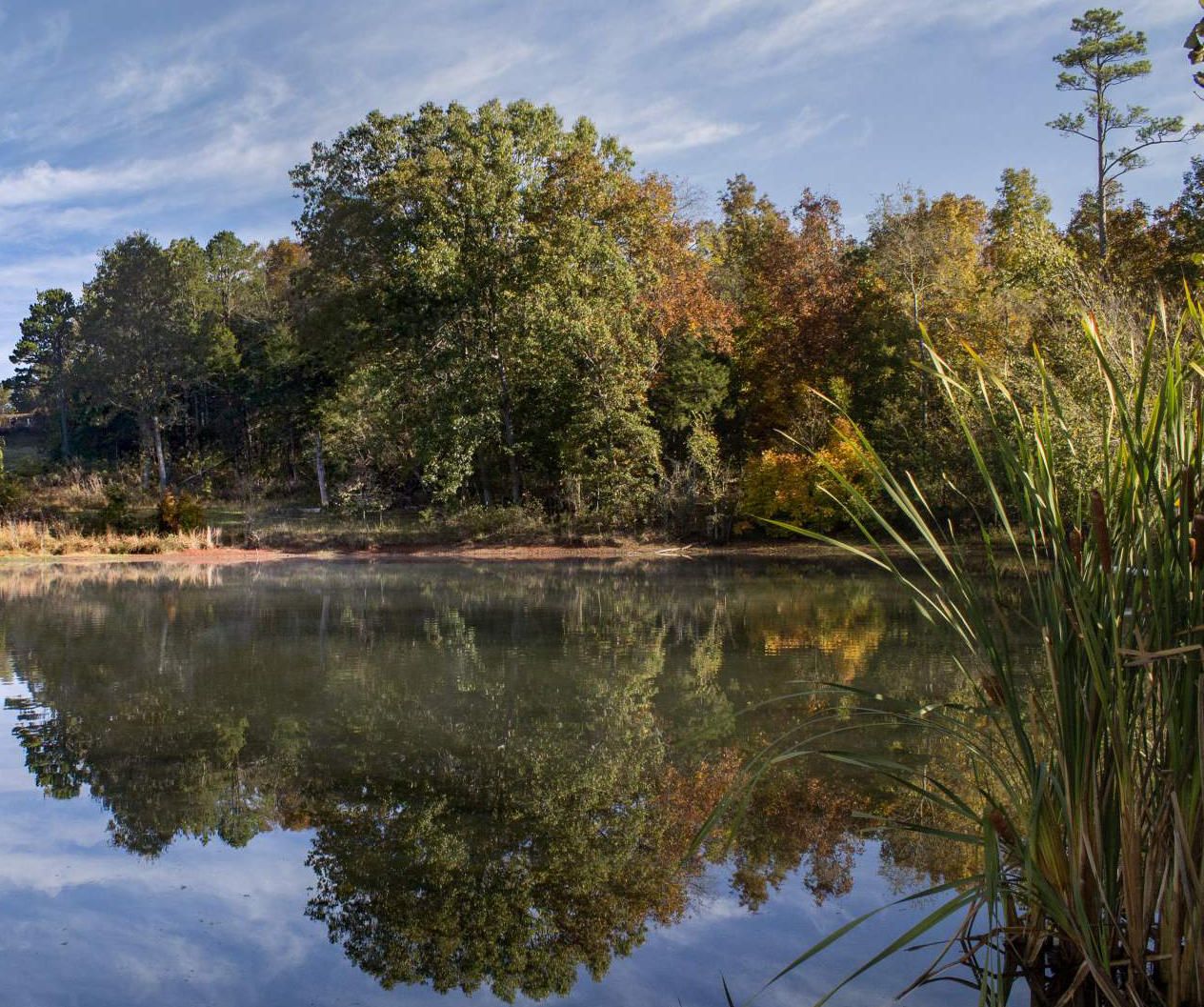 38.65 acres in Shannon County, Missouri