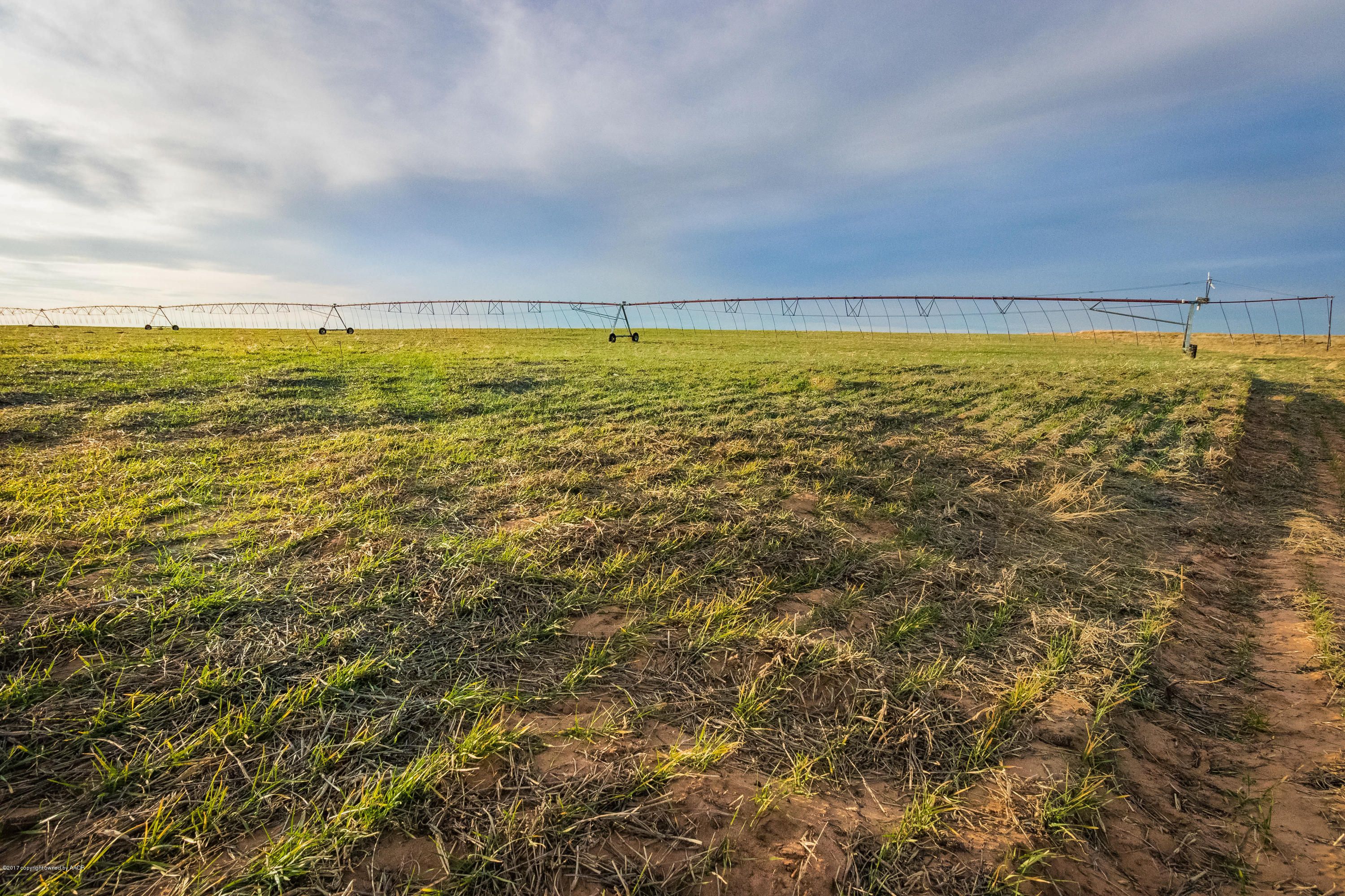 4,269 acres in Dallam County, Texas