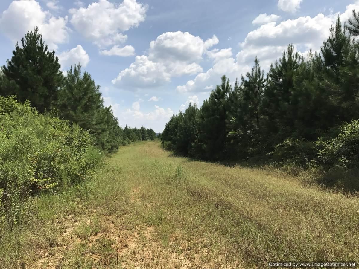 20 acres in Franklin County, Mississippi