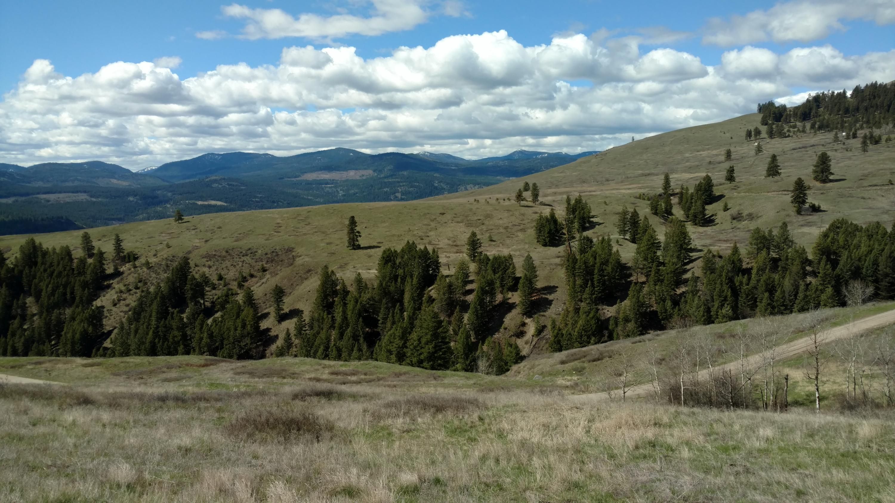 Zillow Ferry County Wa - 8074d3h