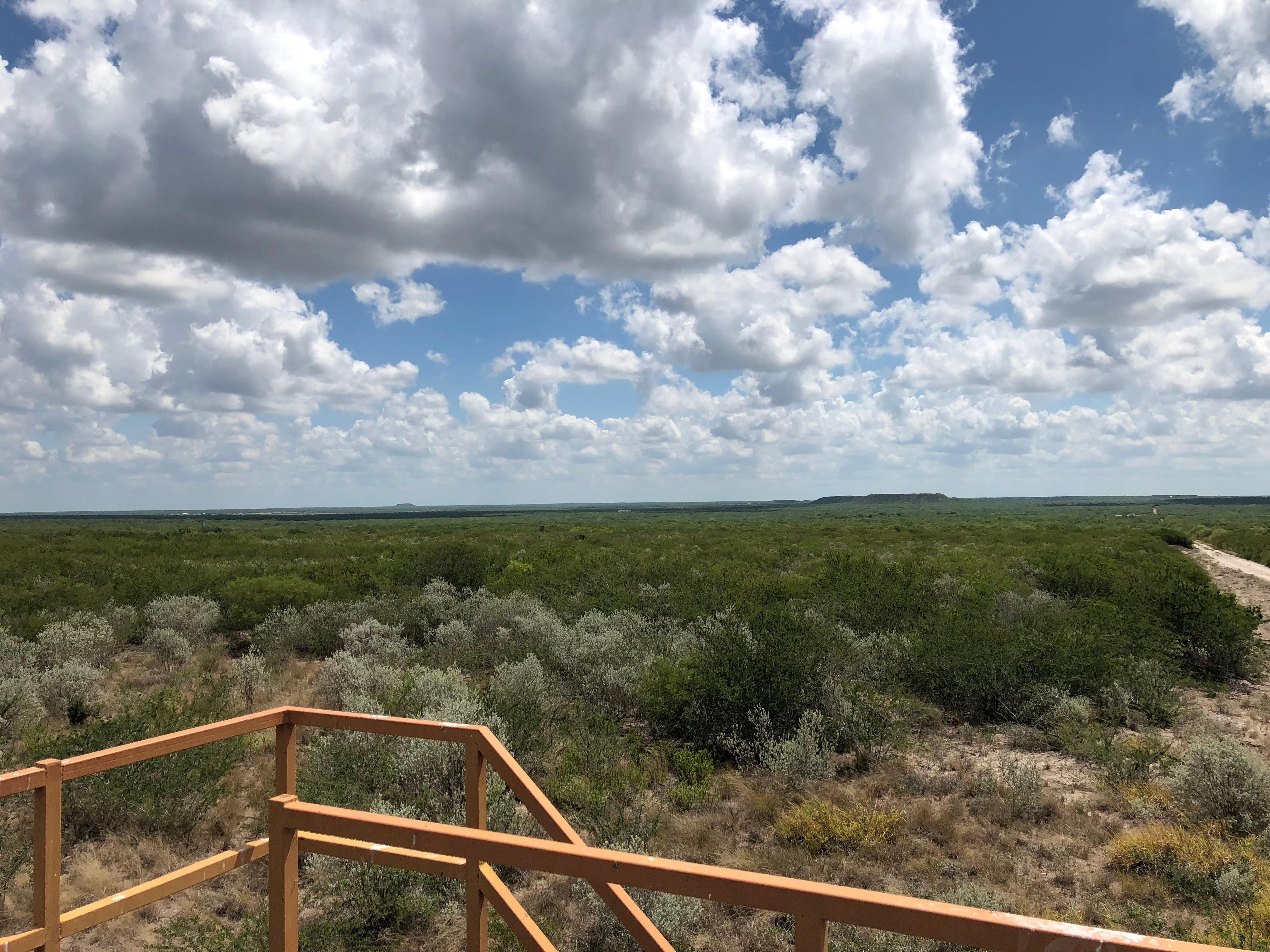 658.06 acres in McMullen County, Texas