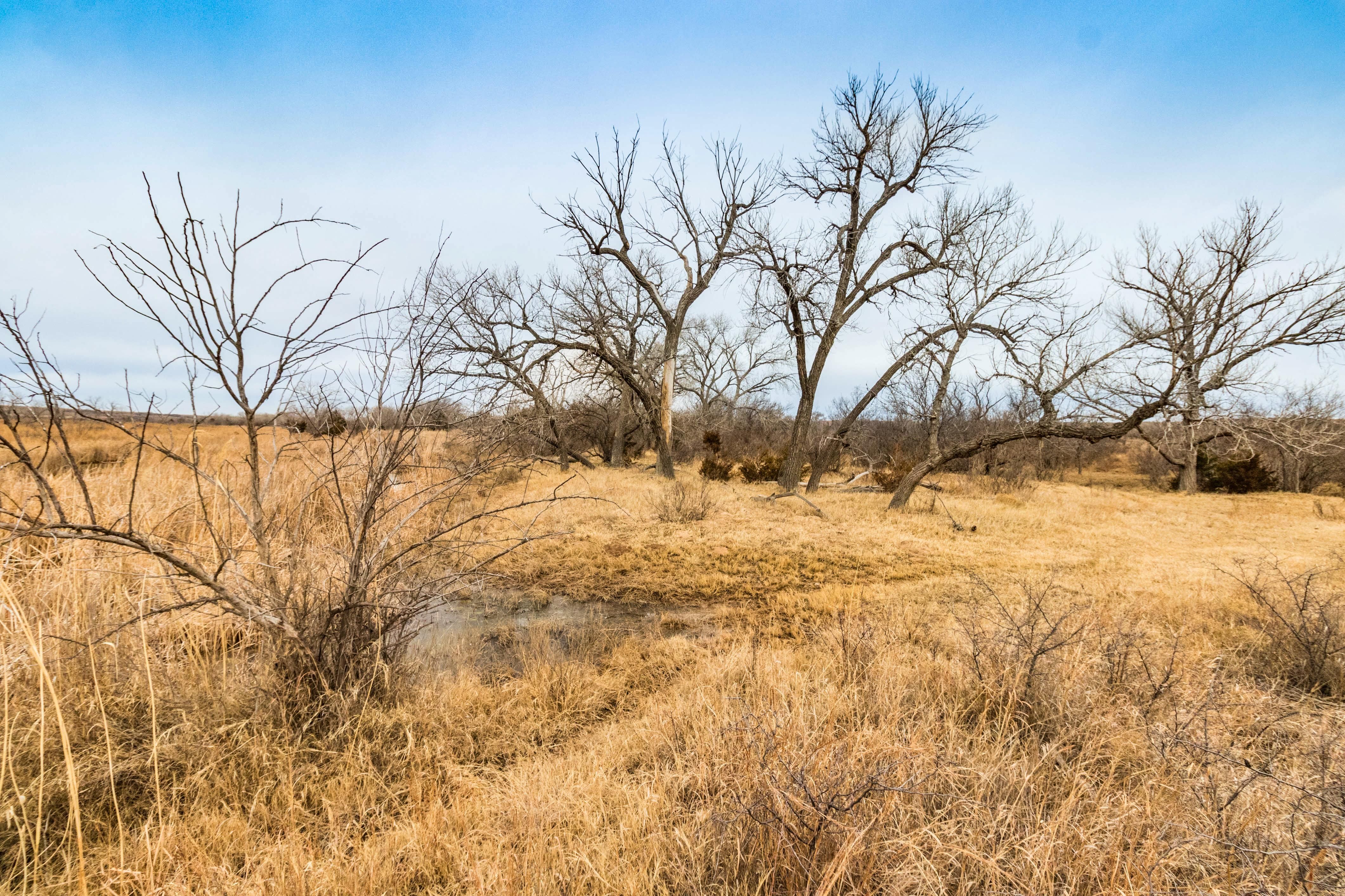 320.00 acres in Gray County, Texas