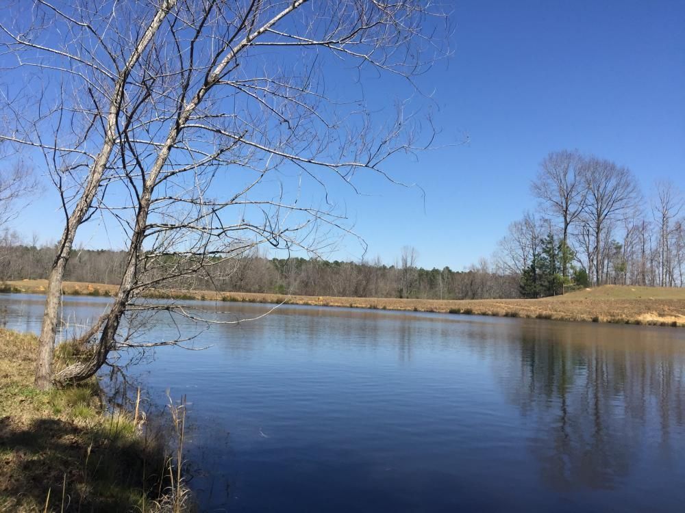 139.93 acres in Kershaw County, South Carolina