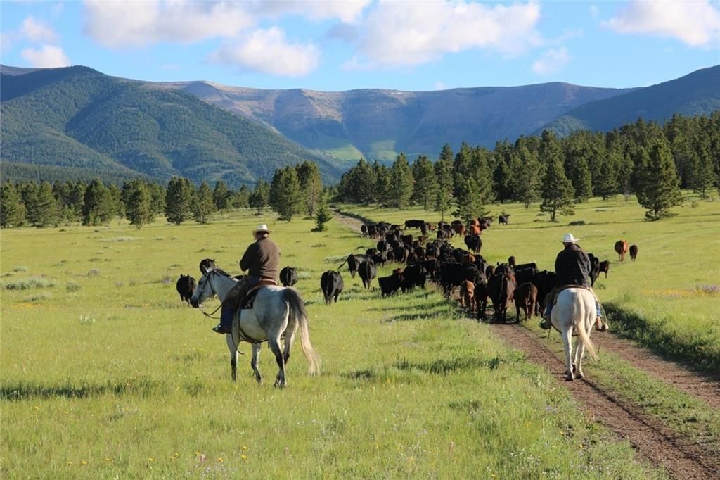 1,000 acres in Fergus County, Montana