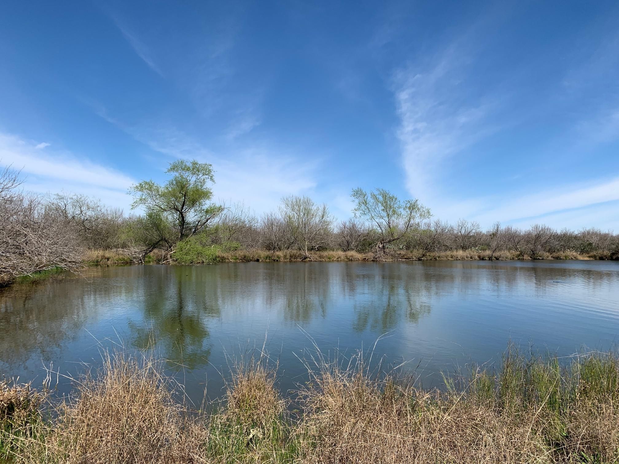 360 acres in Dimmit County, Texas