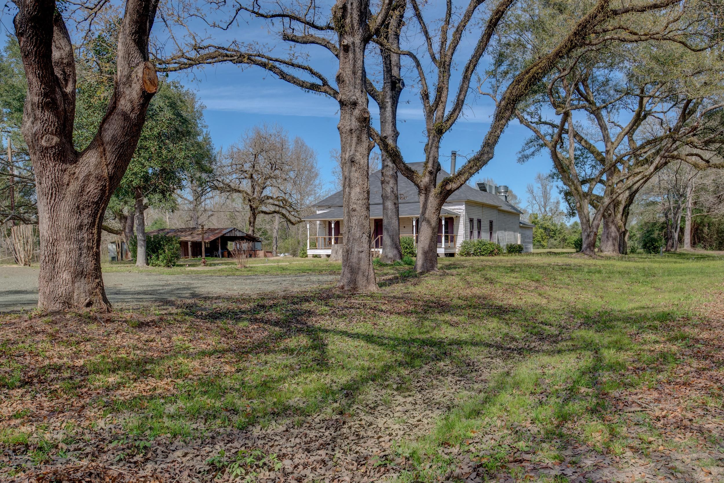 12.53 acres in Tyler County, Texas