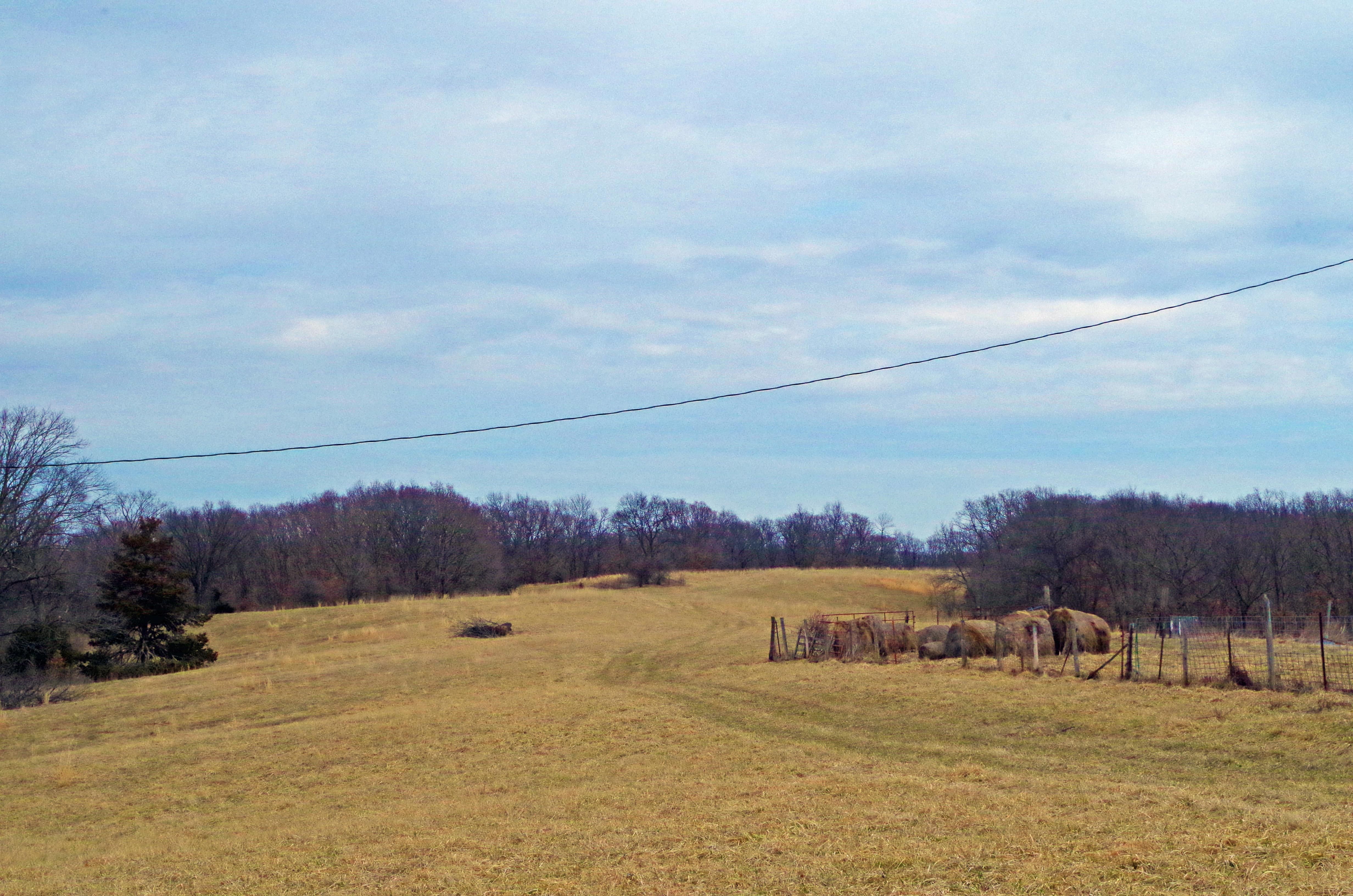 82.00 acres in Pike County, Missouri