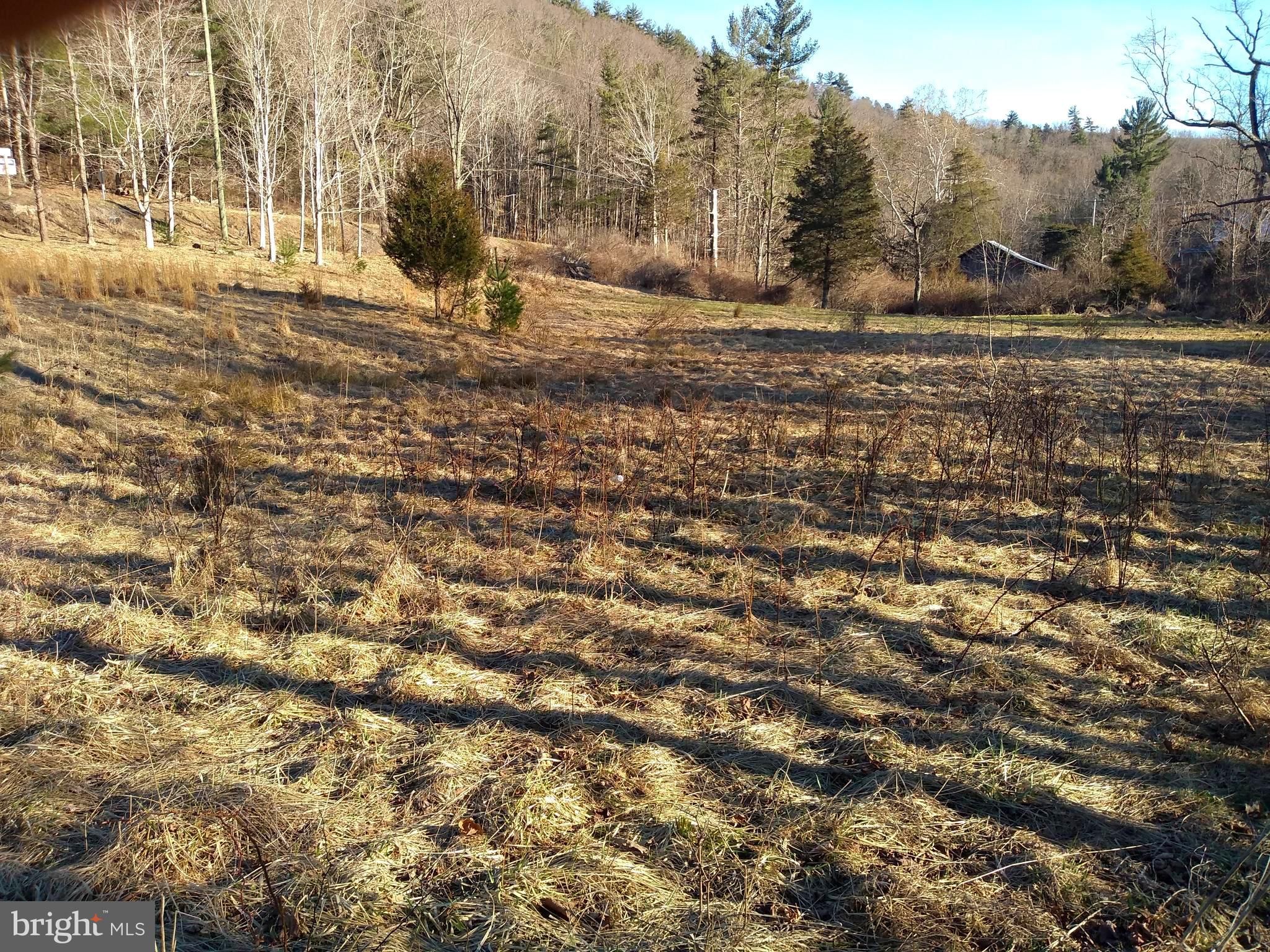 2.03 acres in Grant County, West Virginia