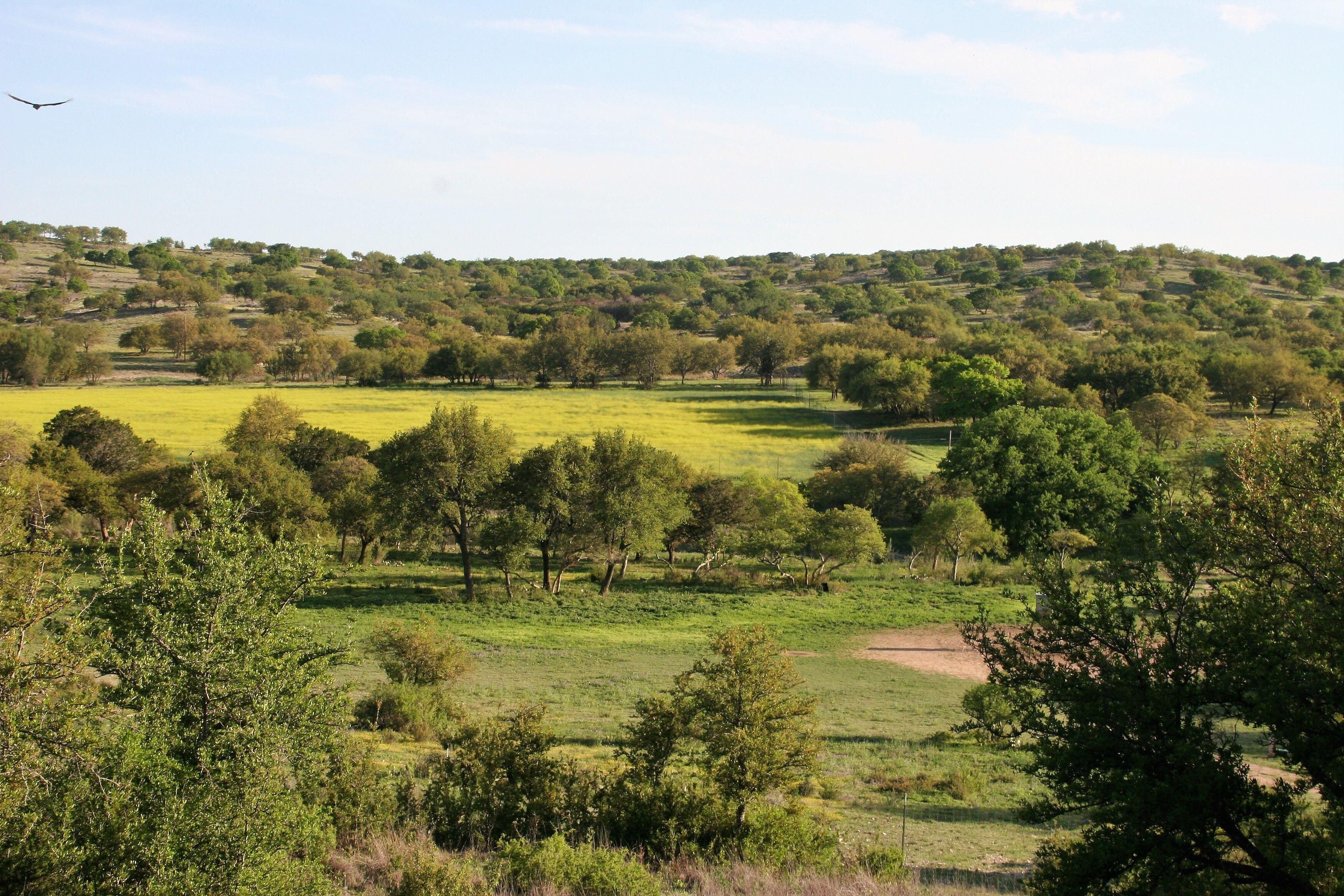 880 acres in Kimble County, Texas