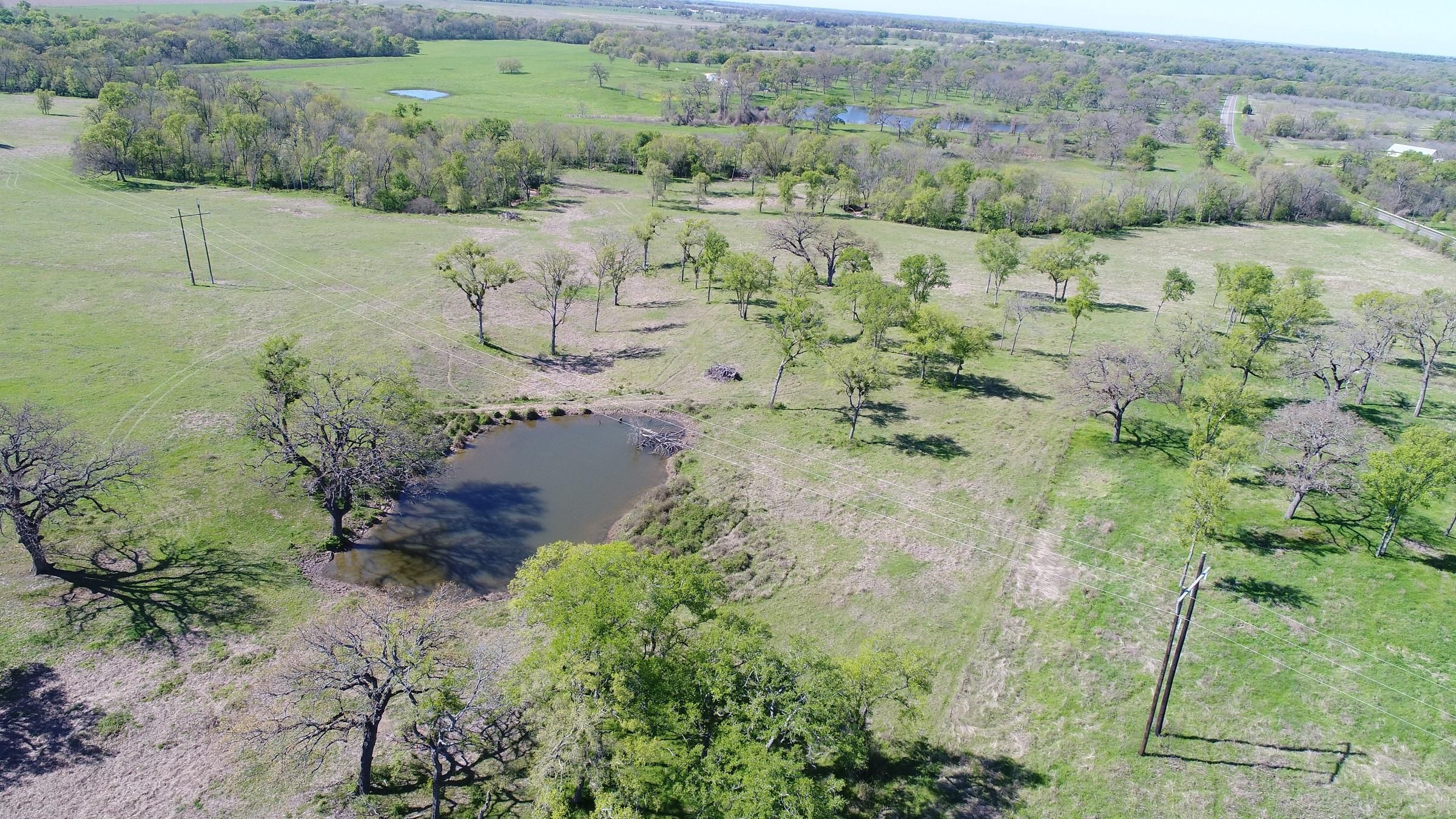 41 acres in Milam County, Texas