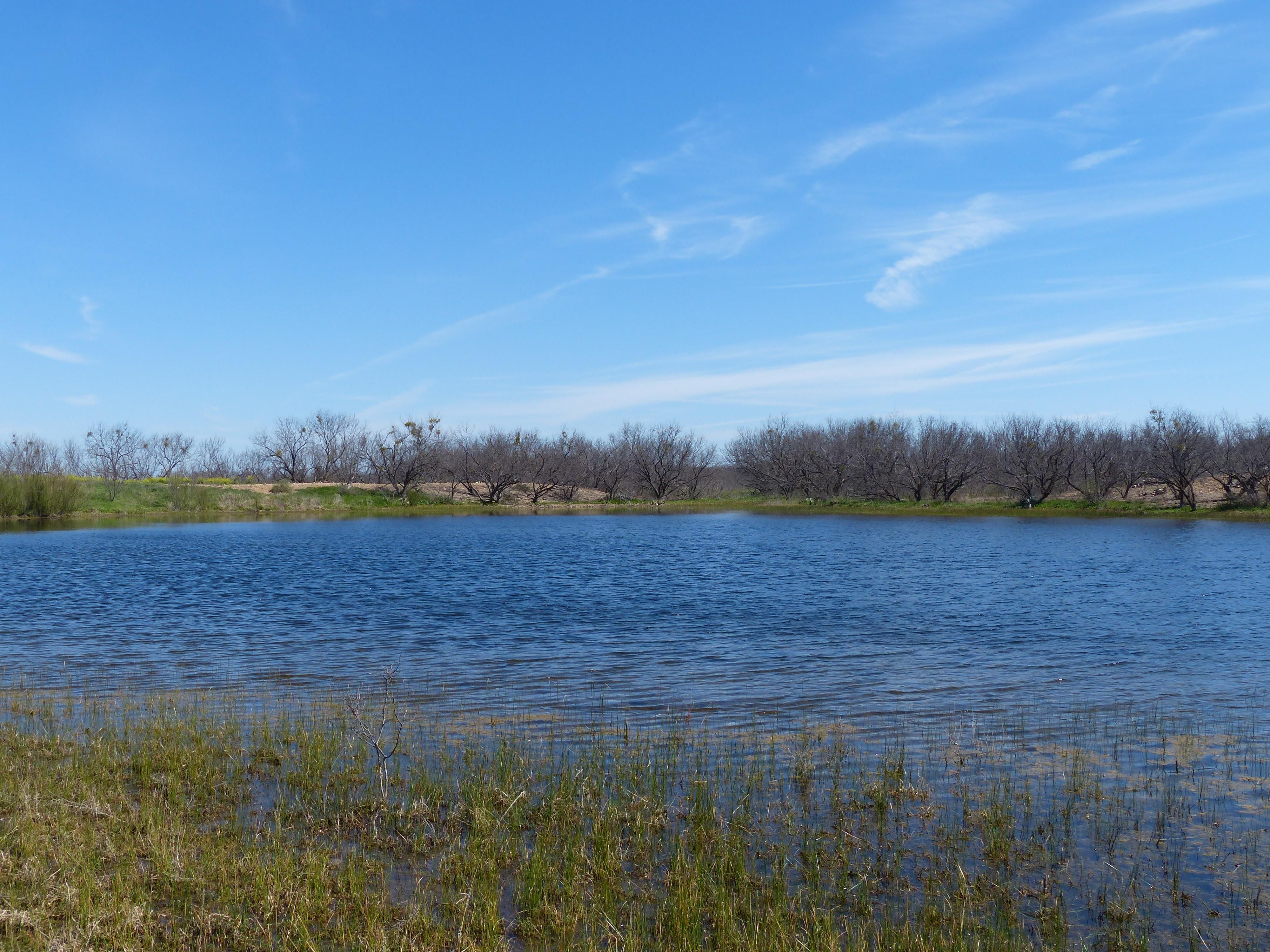 320 acres in McCulloch County, Texas